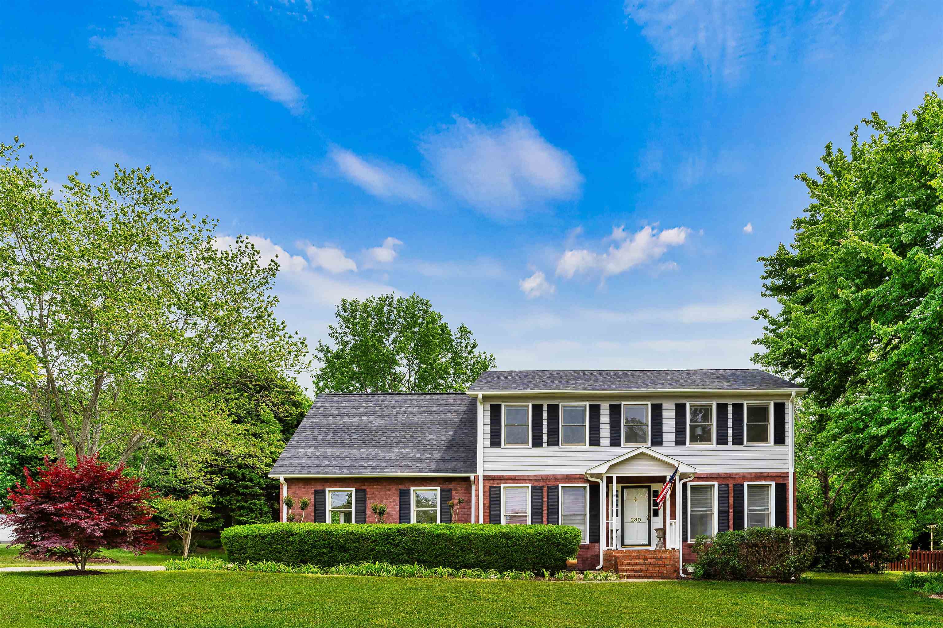 230 Donegal Drive, Moore, South Carolina image 1