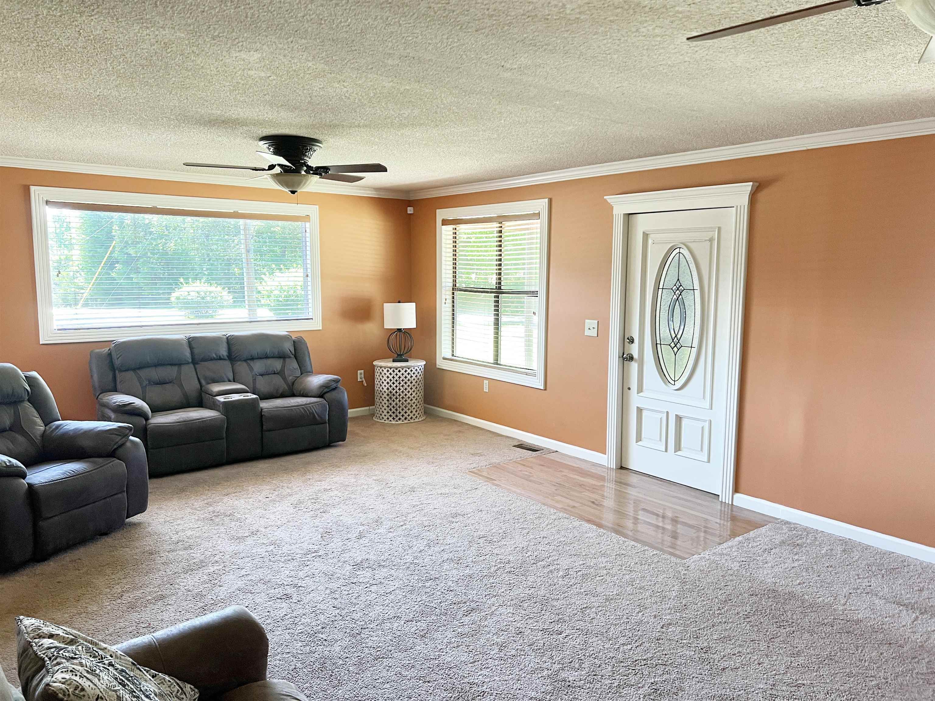 355 Blue Ridge Road, Campobello, South Carolina image 2