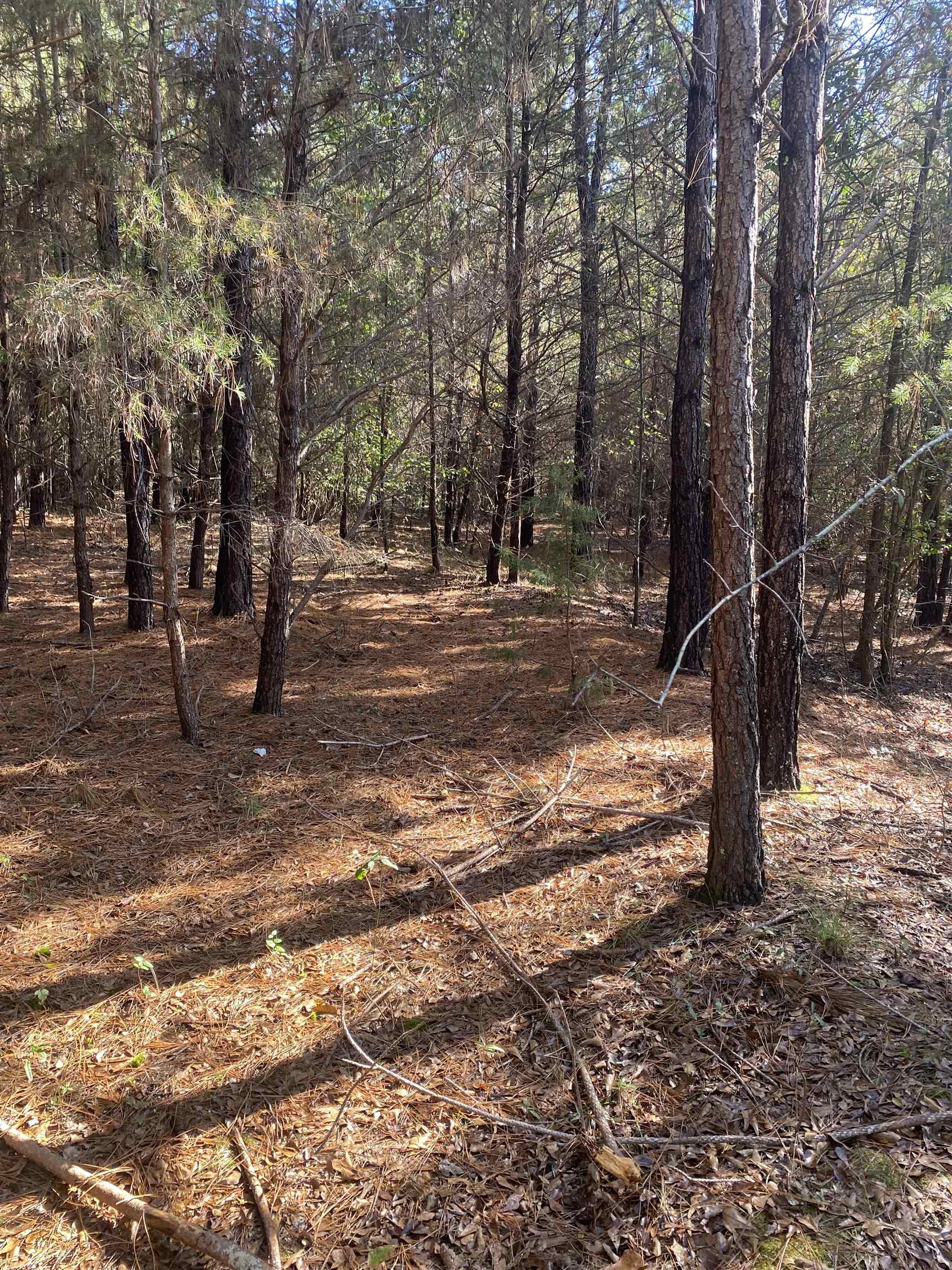 250 Oaktree Road, Spartanburg, South Carolina image 2