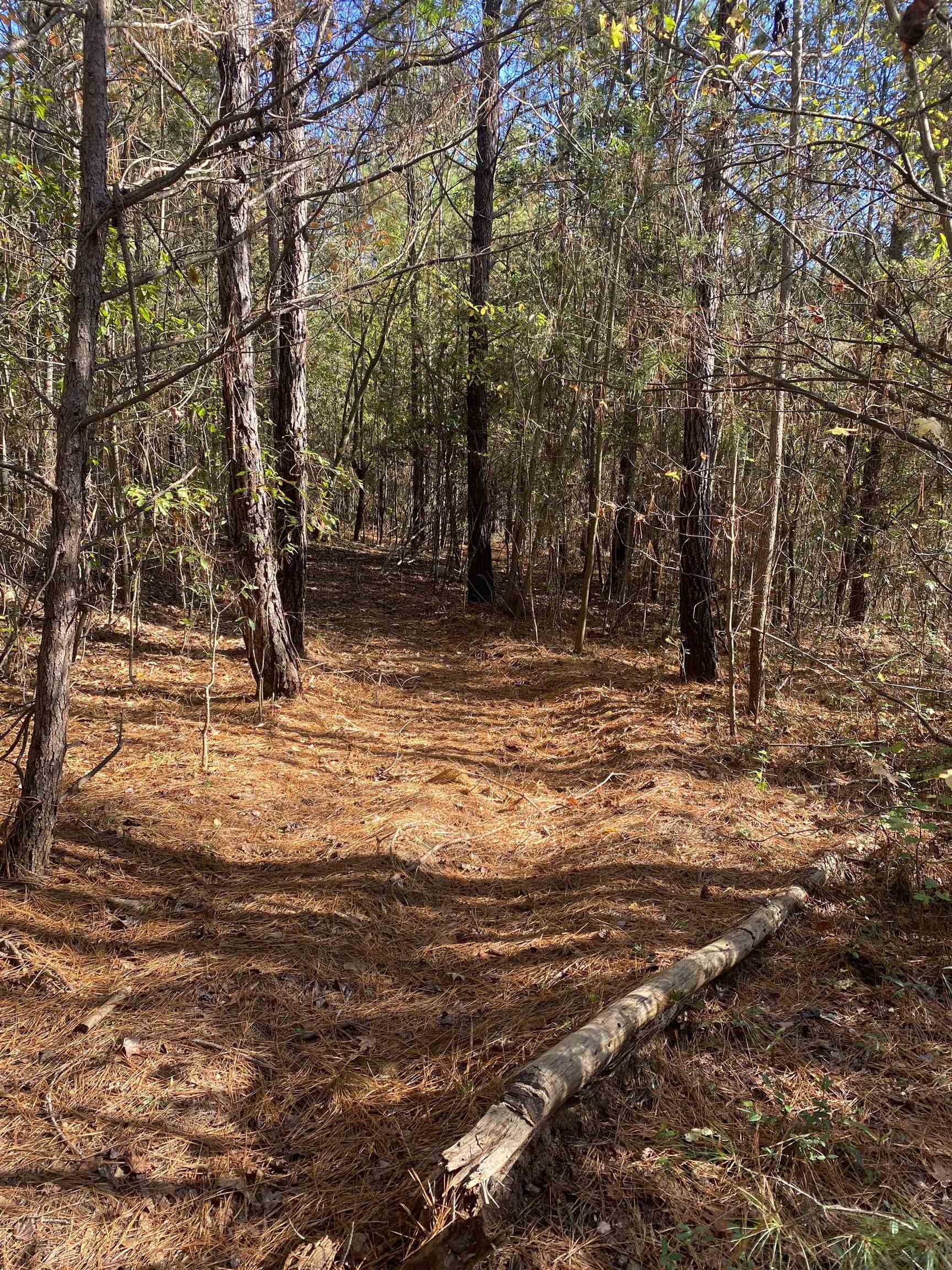 250 Oaktree Road, Spartanburg, South Carolina image 7