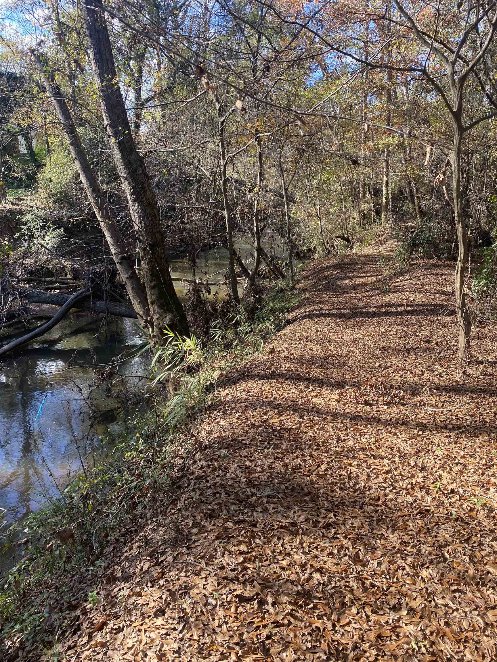 250 Oaktree Road, Spartanburg, South Carolina image 11