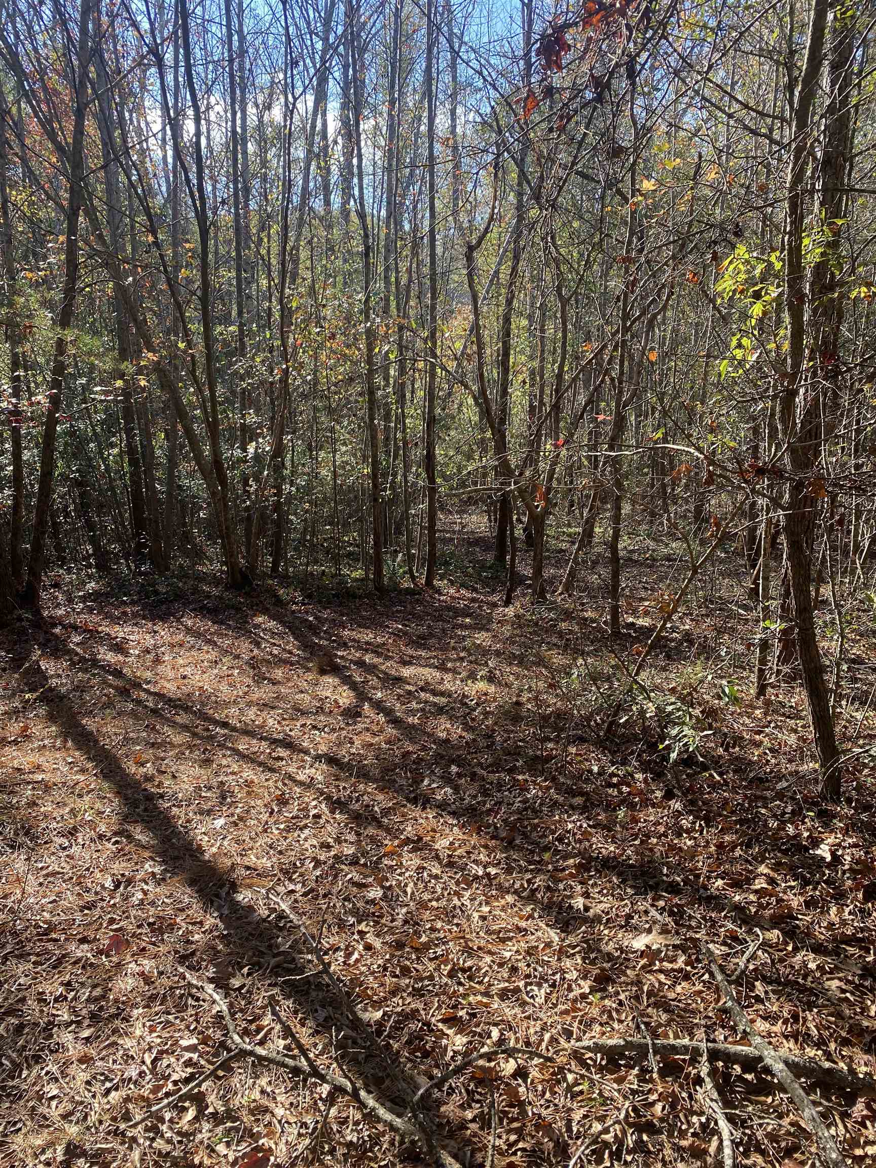 250 Oaktree Road, Spartanburg, South Carolina image 6