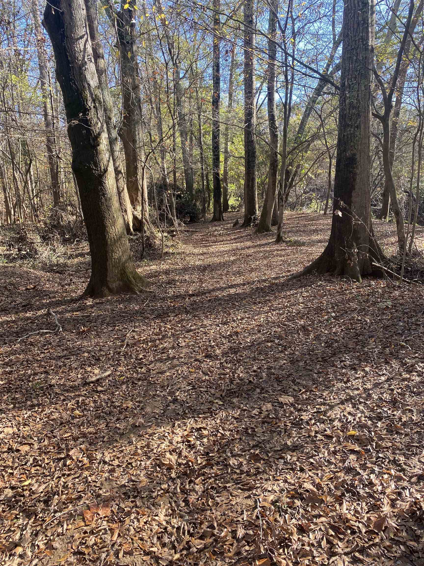 250 Oaktree Road, Spartanburg, South Carolina image 10