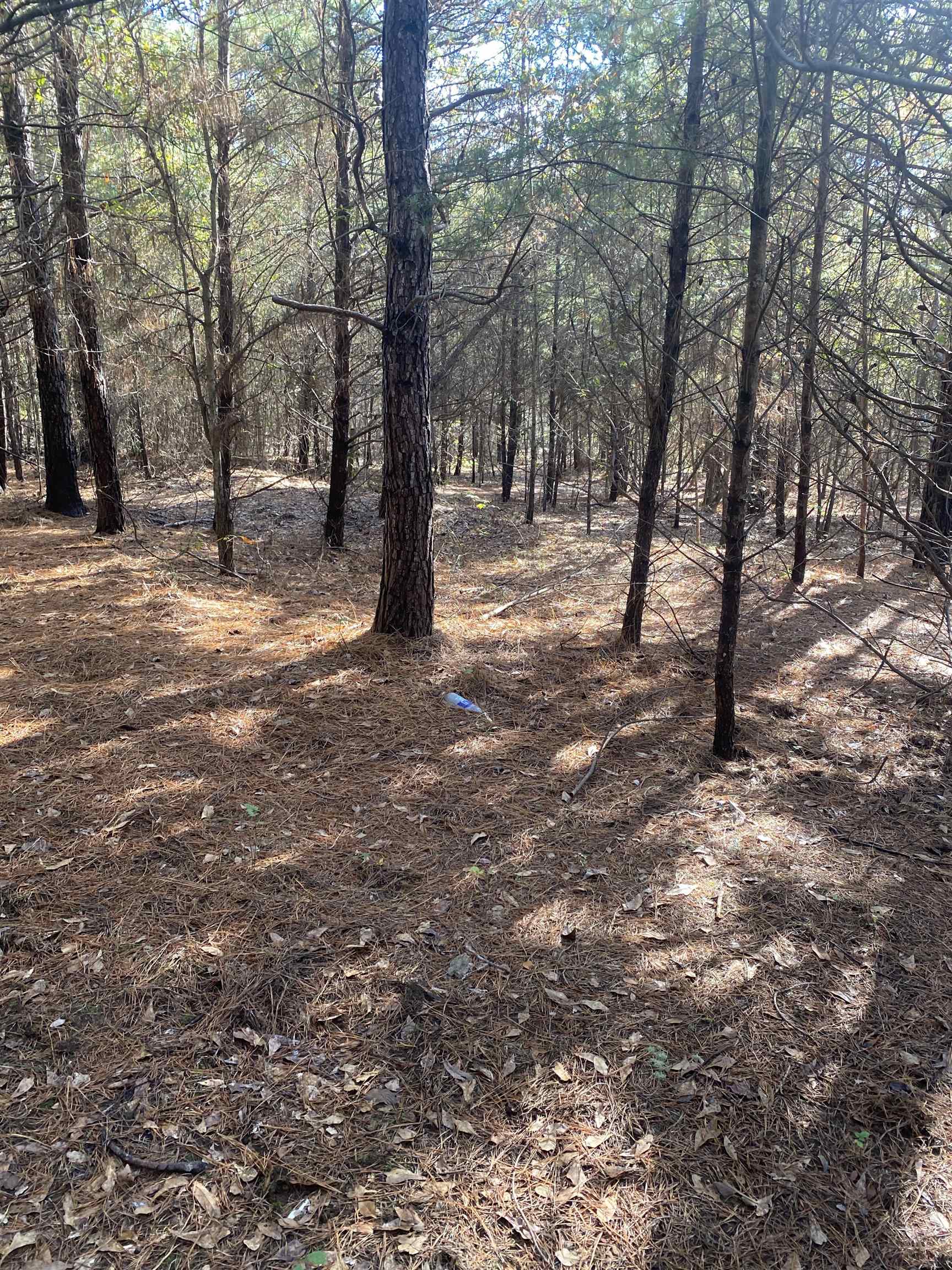 250 Oaktree Road, Spartanburg, South Carolina image 4