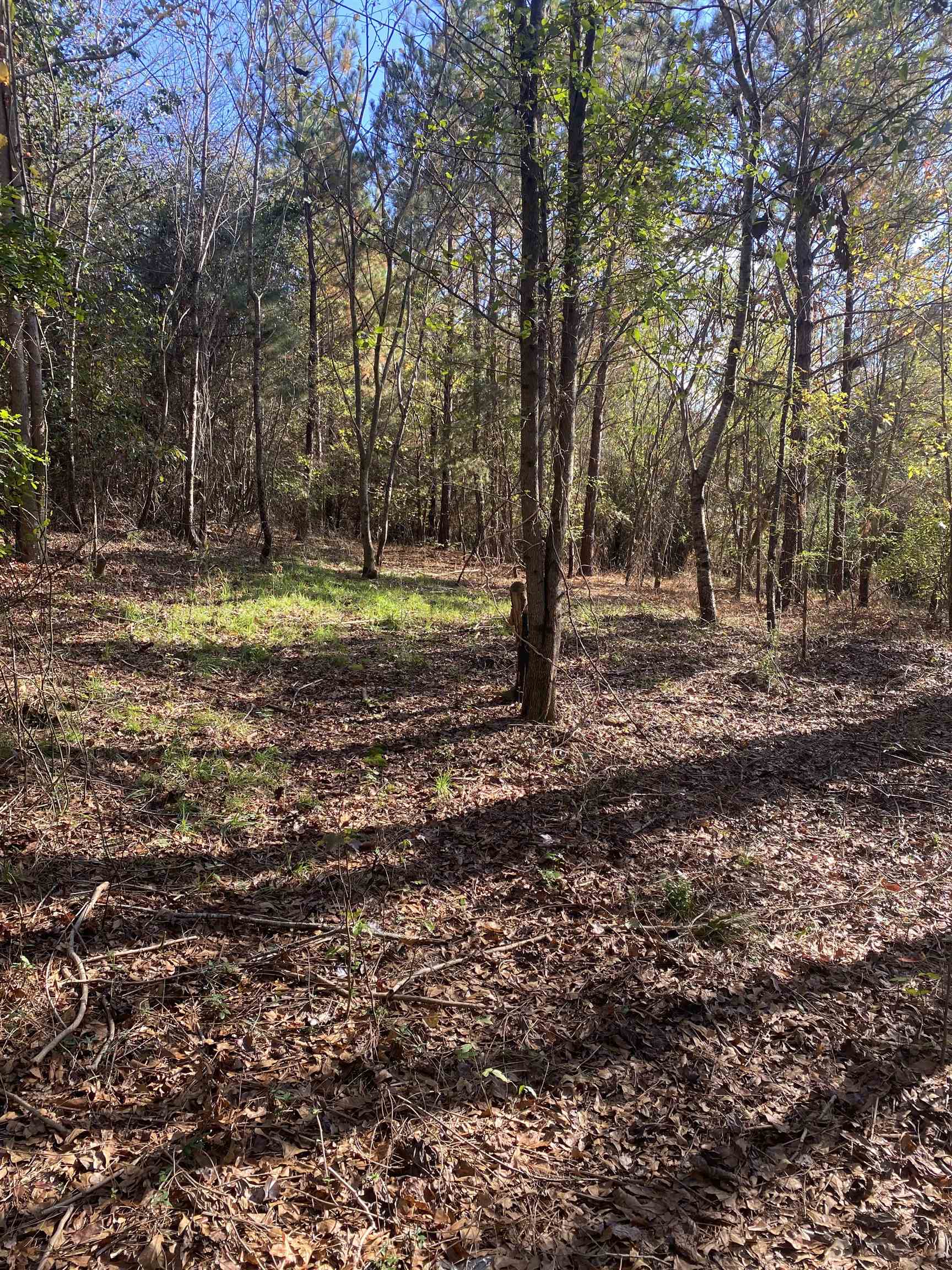 250 Oaktree Road, Spartanburg, South Carolina image 1