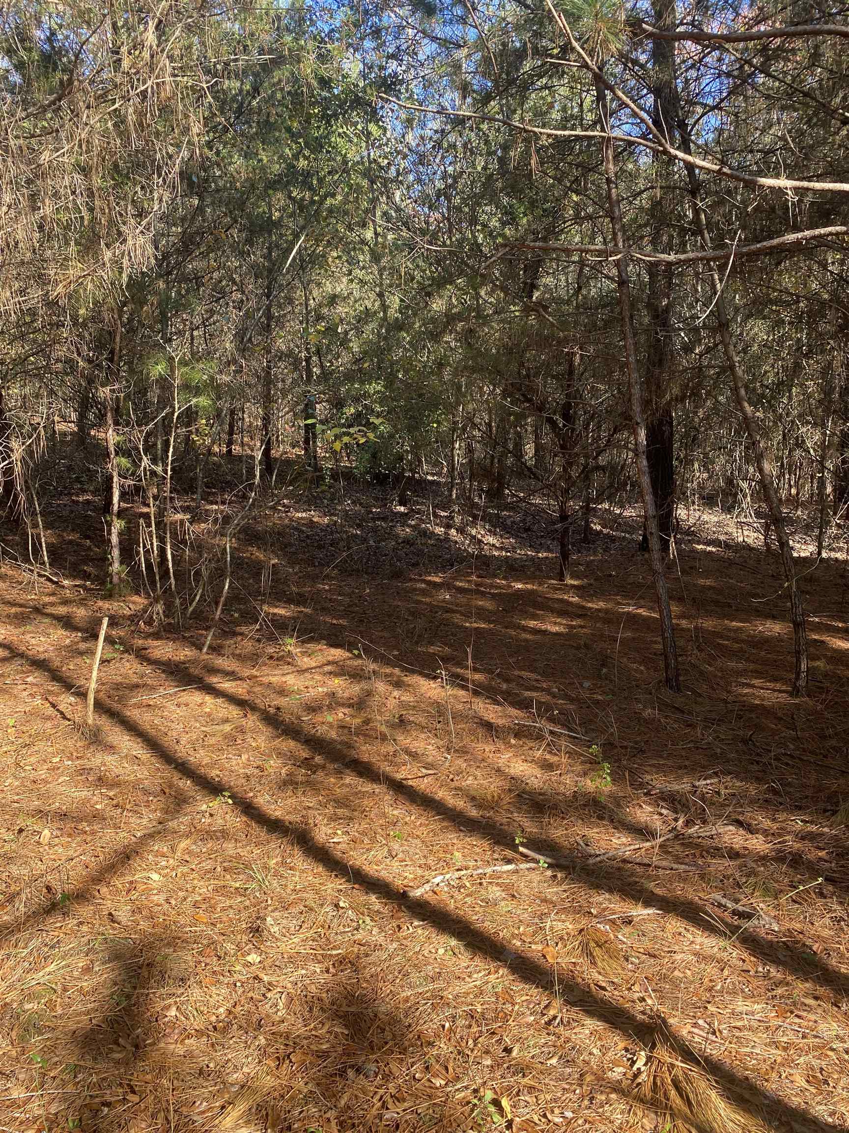 250 Oaktree Road, Spartanburg, South Carolina image 3