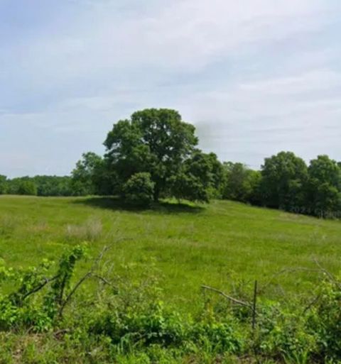 Vacant Land For Sale - 10 & 11 Carolina Ridge Road<br/> Cherokee County, Gaffney, SC 29341