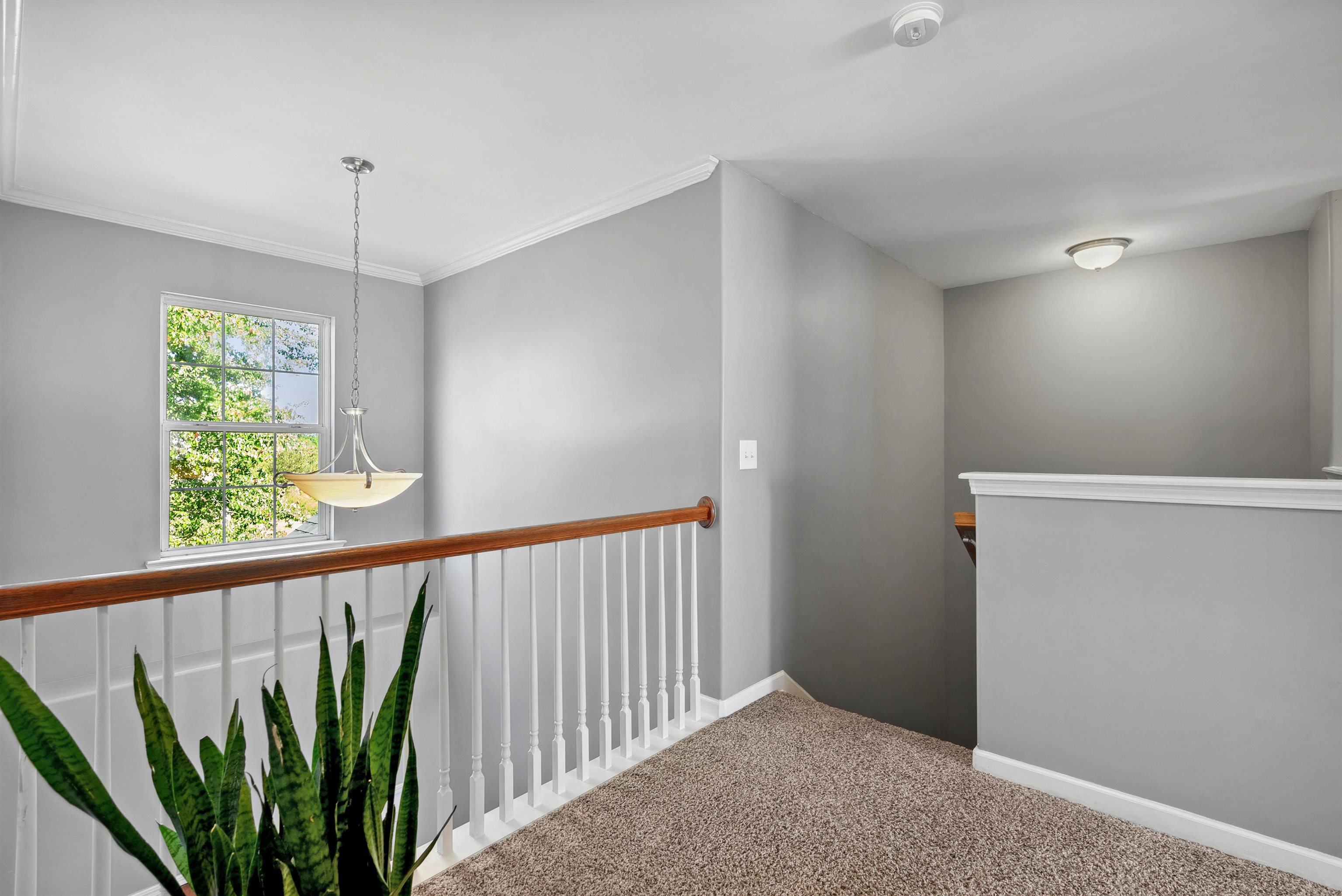 444 Melbourne Lane, Spartanburg, South Carolina image 22