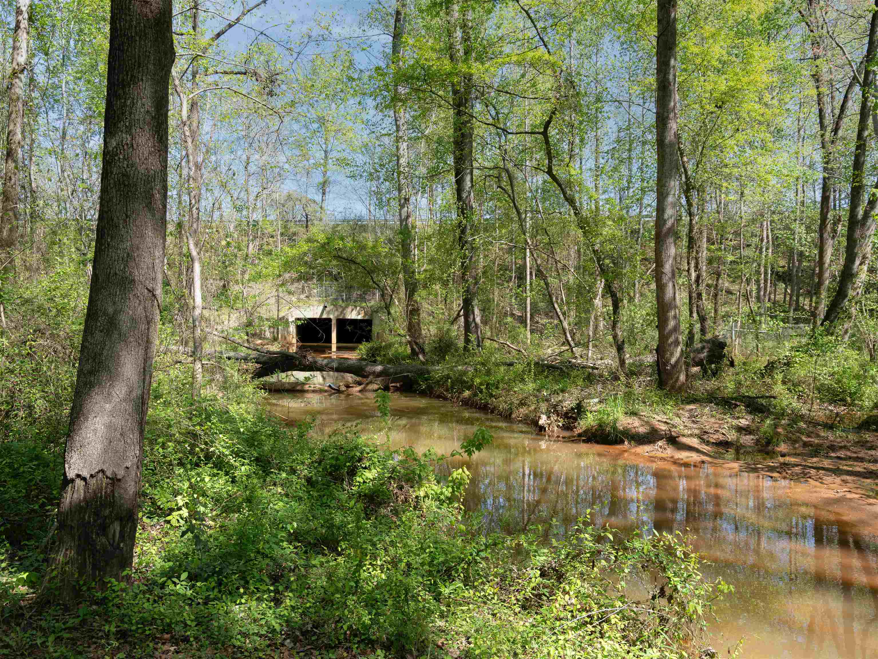 297 Falling Creek Road, Spartanburg, South Carolina image 35