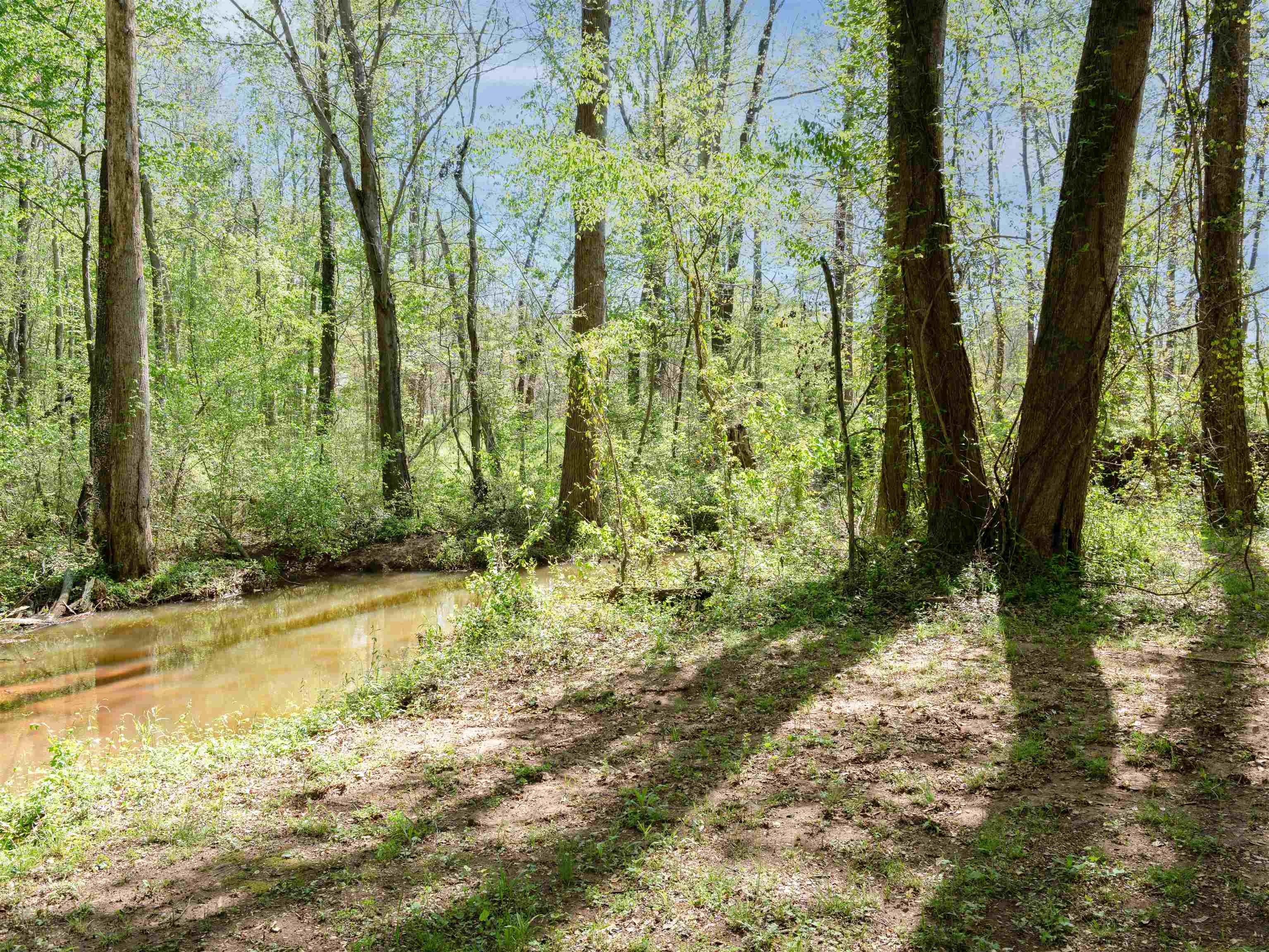 297 Falling Creek Road, Spartanburg, South Carolina image 36