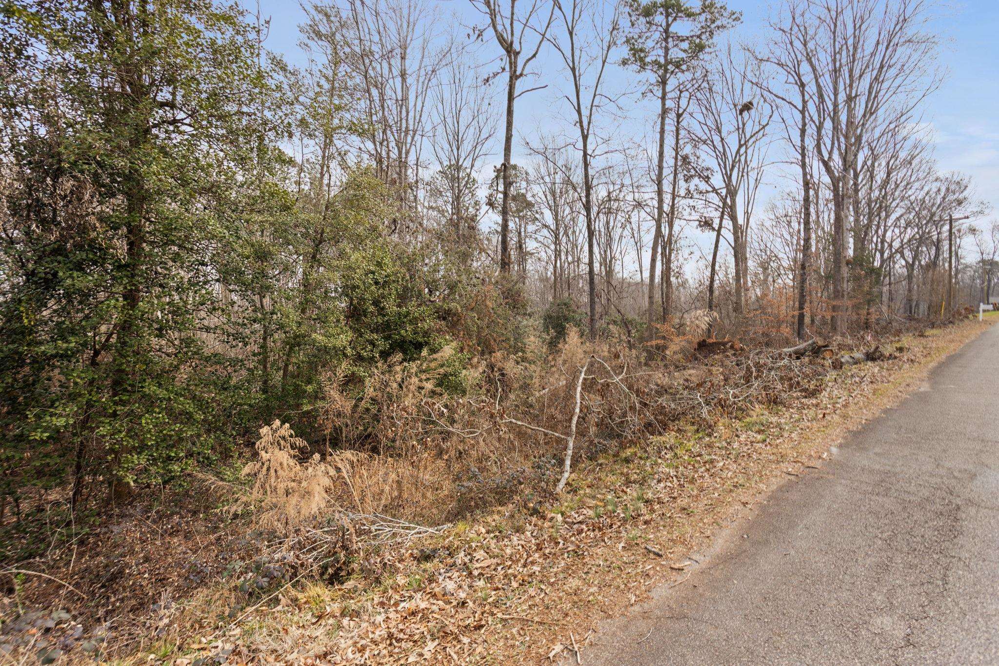 255 Bluebird Lane, Spartanburg, South Carolina image 14