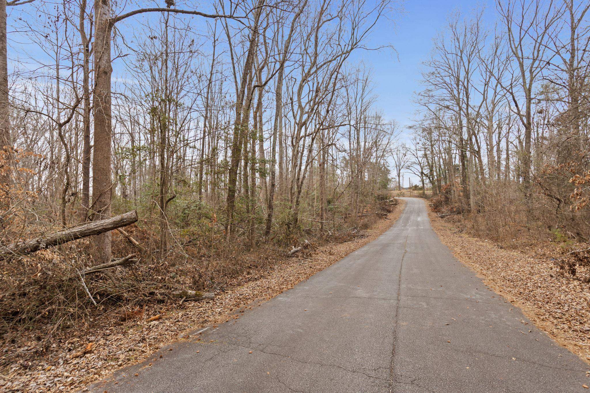 255 Bluebird Lane, Spartanburg, South Carolina image 2