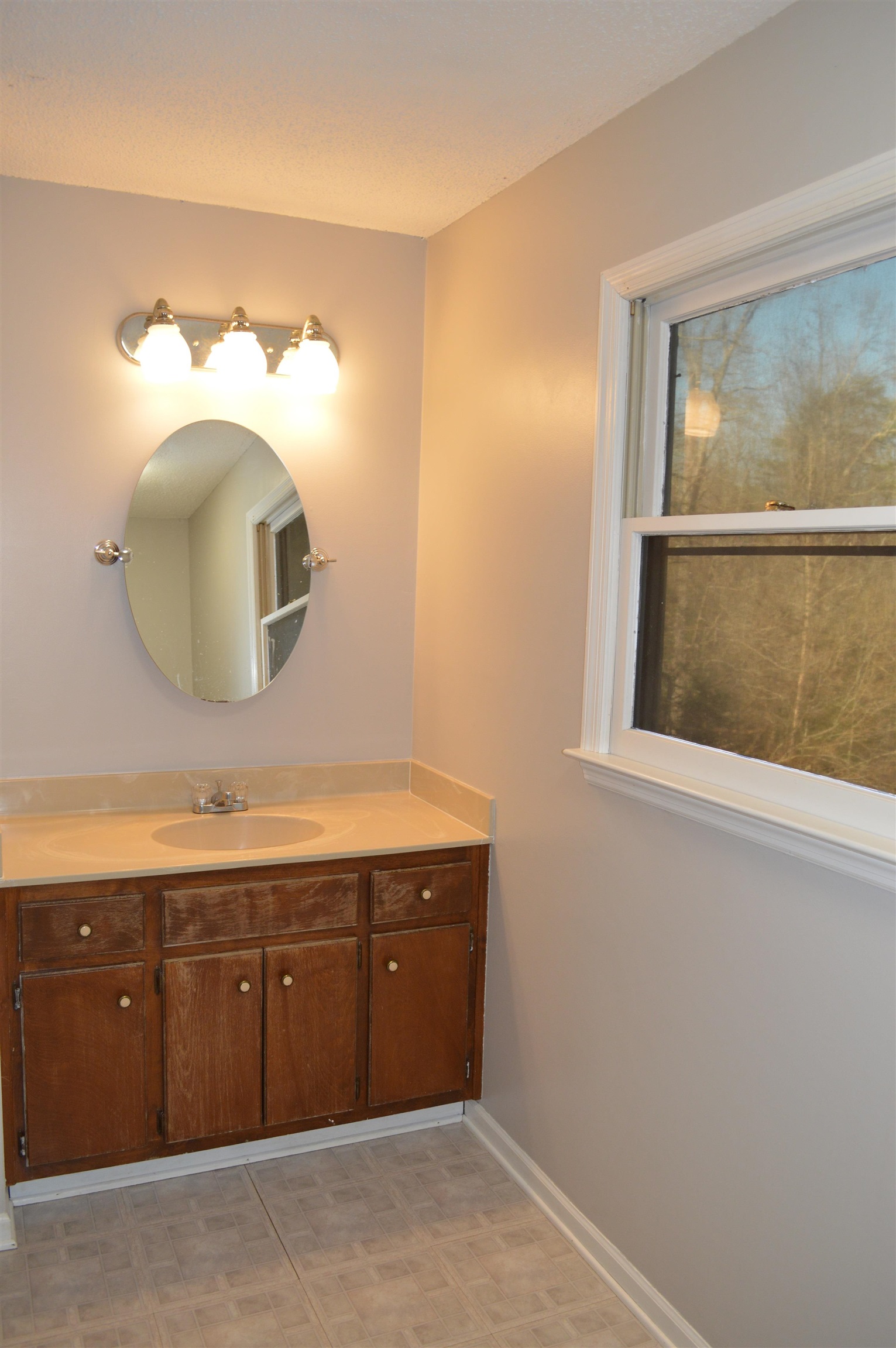 216 Palmetto Circle, Greer, South Carolina image 19
