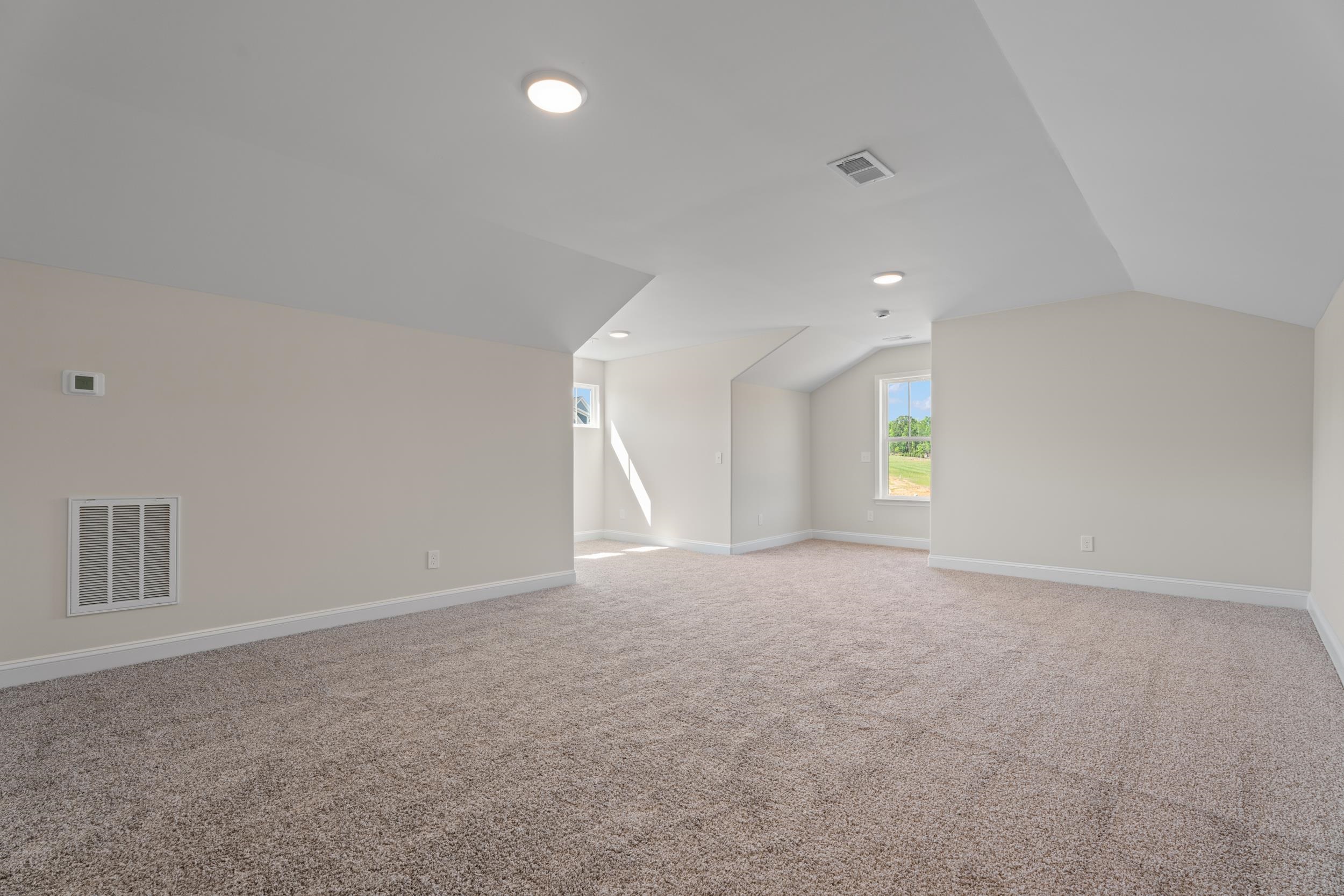 1141 Clearbrook Lane, Campobello, South Carolina image 14