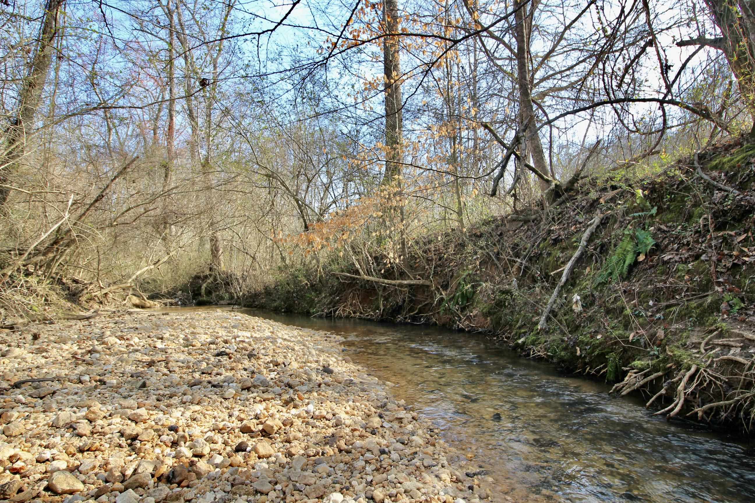 206 Page Creek Boulevard, Landrum, South Carolina image 36
