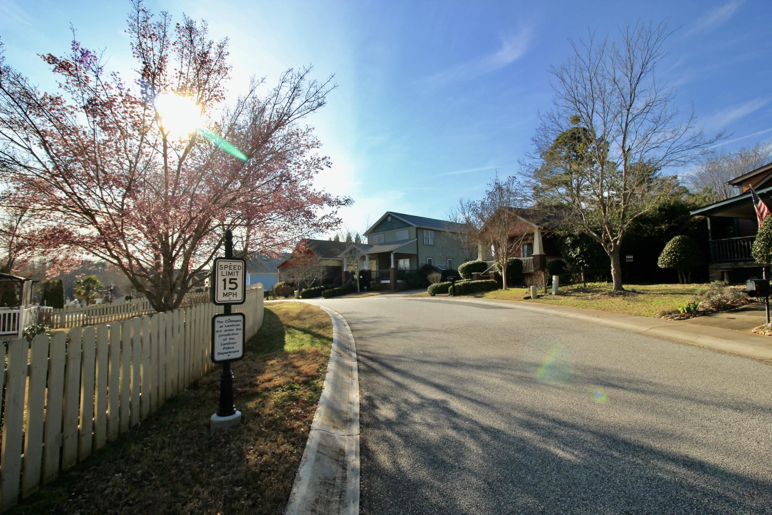 206 Page Creek Boulevard, Landrum, South Carolina image 34