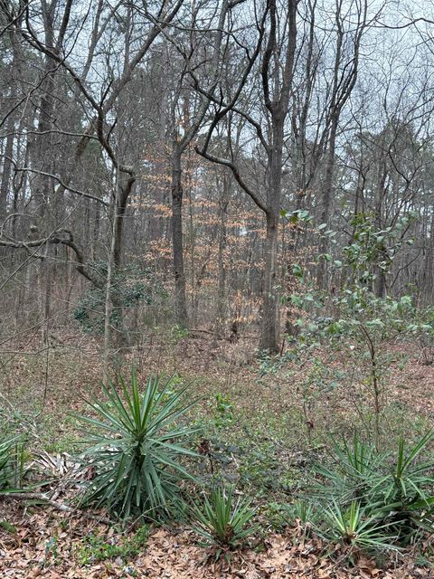 Vacant Land For Sale - Norwood Street<br/> Pacolet, SC 29372