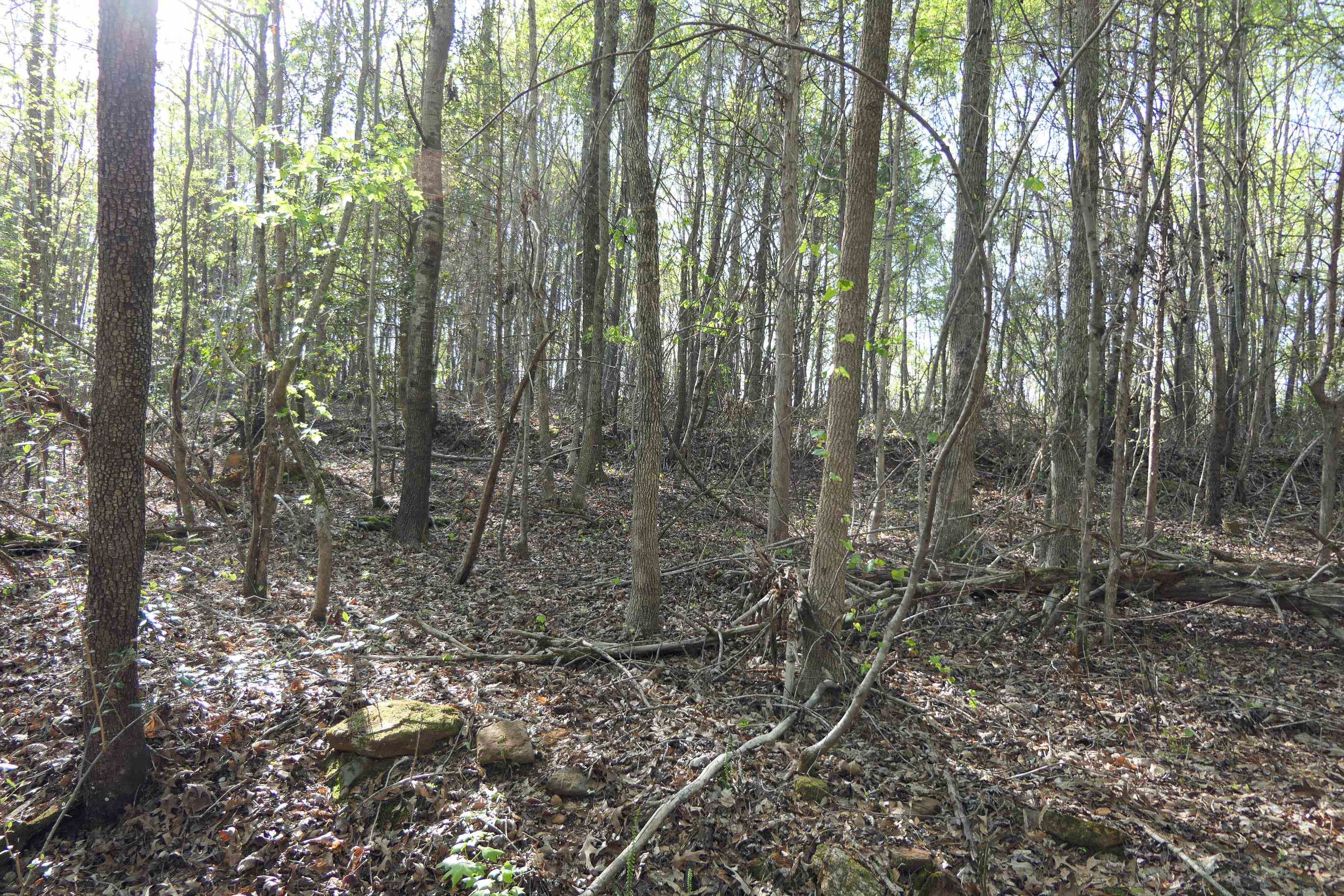 615 Beacon Light Rd Rd, Spartanburg, South Carolina image 28
