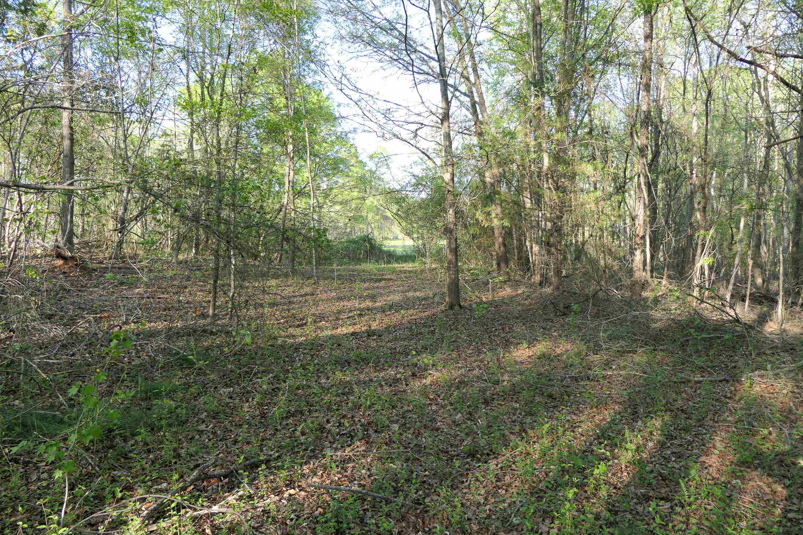 615 Beacon Light Rd Rd, Spartanburg, South Carolina image 43