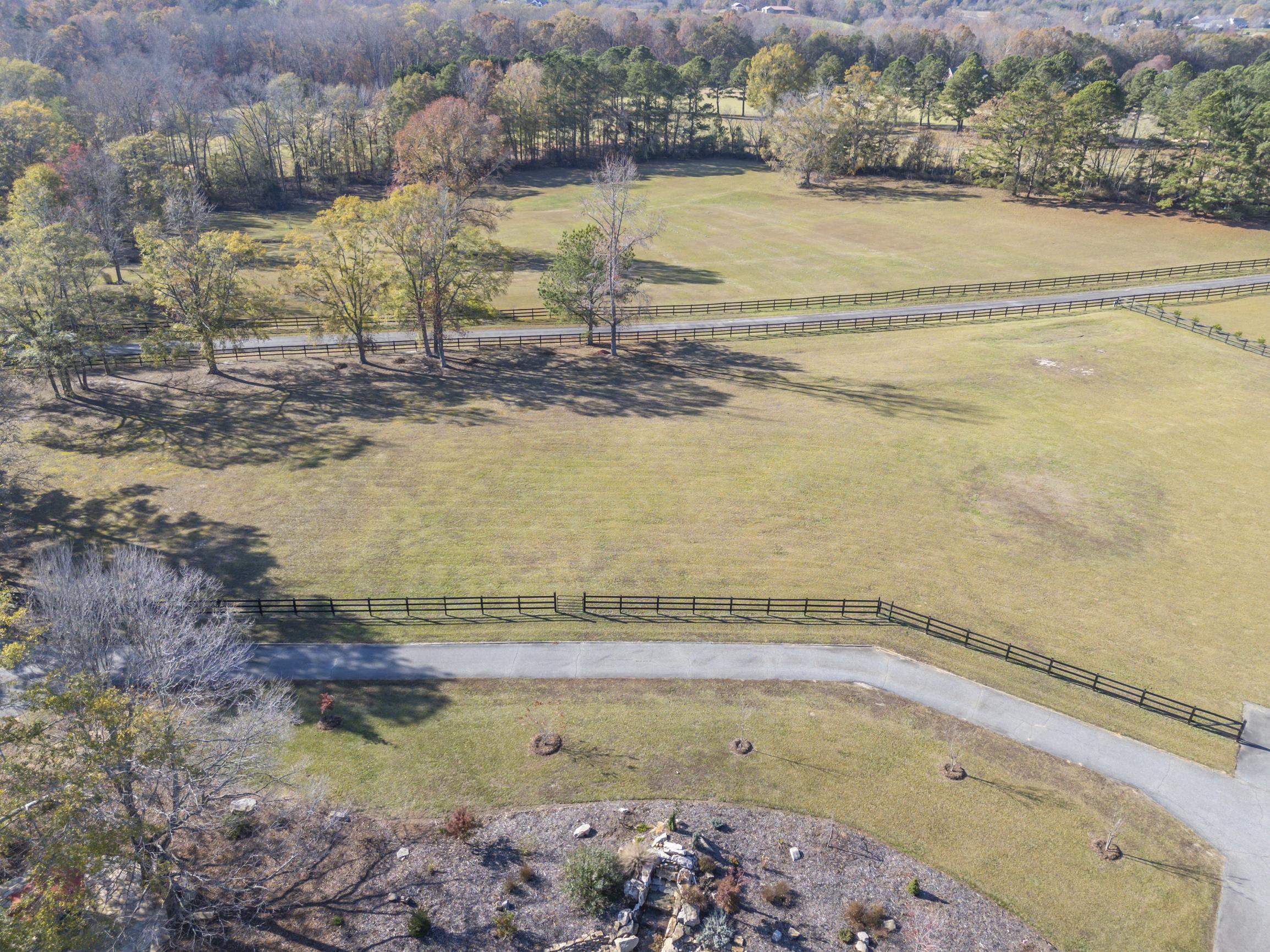 125 Pine Trace, Campobello, South Carolina image 3