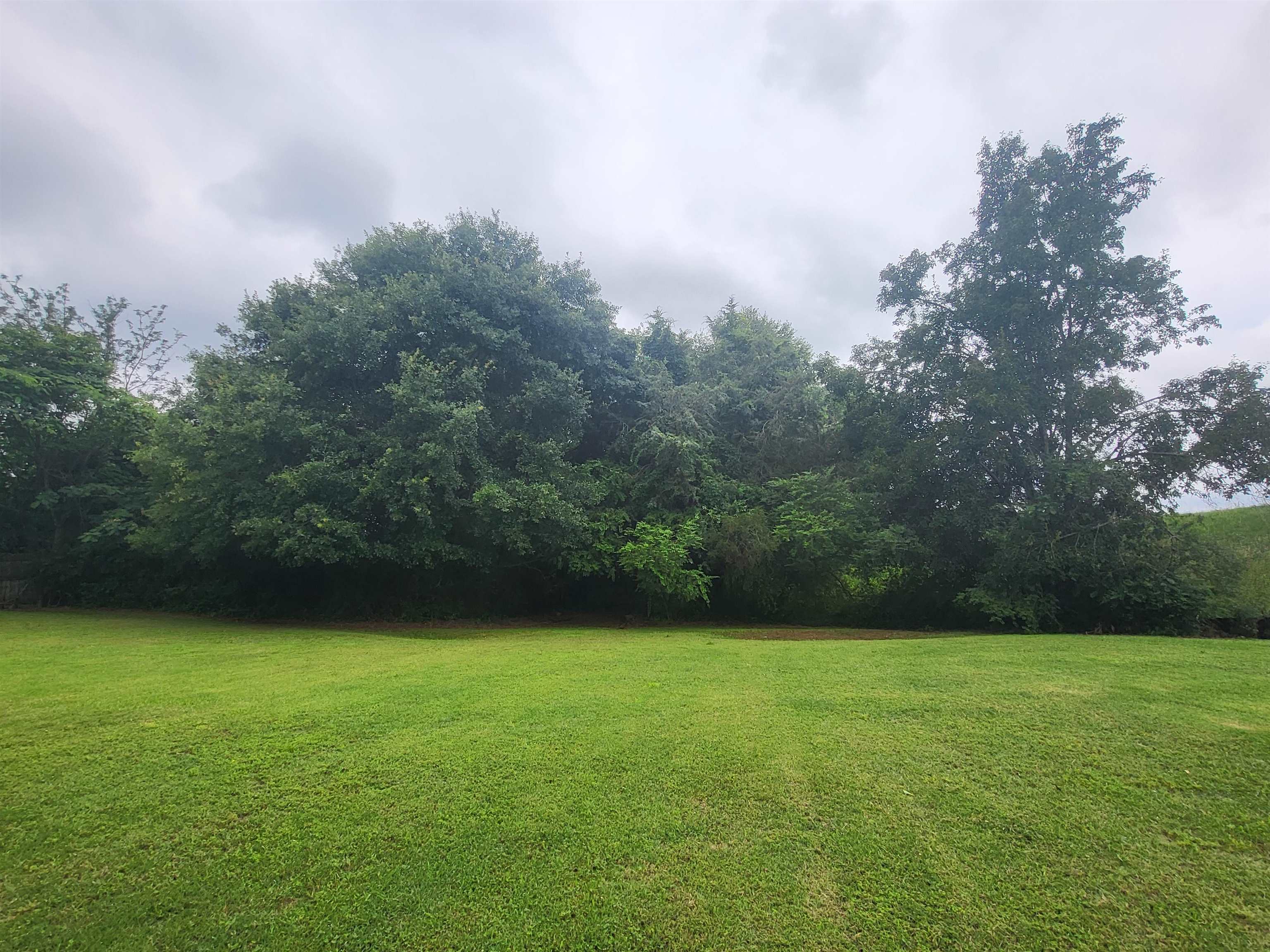 378 Cunningham Road, Woodruff, South Carolina image 3