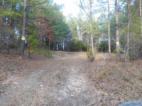 Homes For Sale - TBD Tanners Road Road<br/> Smyrna, SC 29743