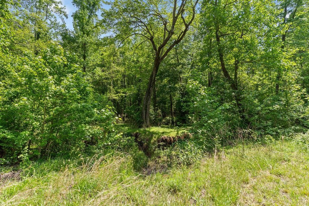 690 Farms Bridge Road, Inman, South Carolina image 12