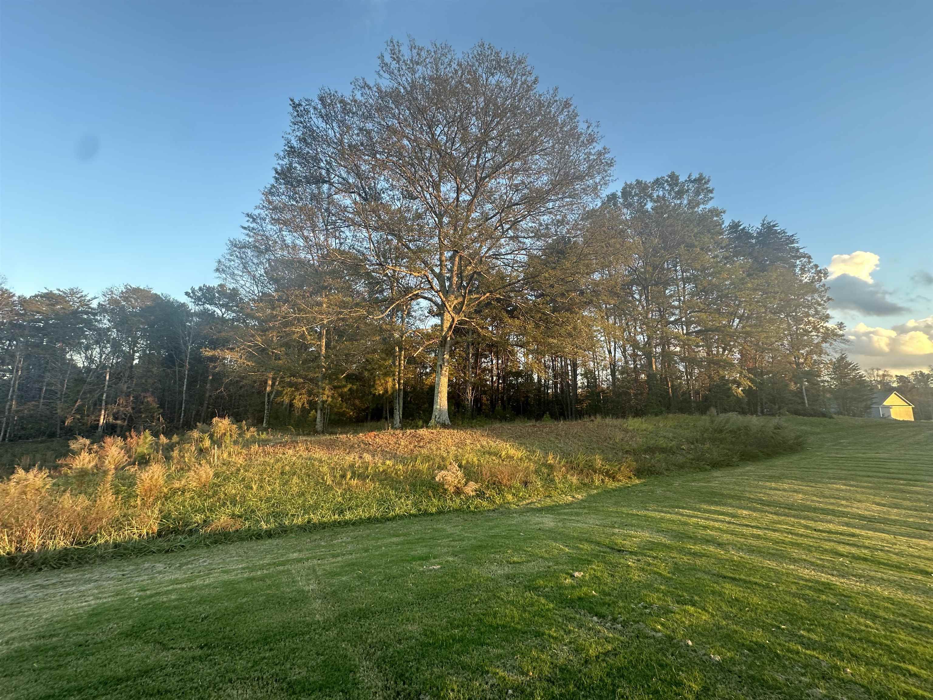 1176 Melford Avenue, Wellford, South Carolina image 46