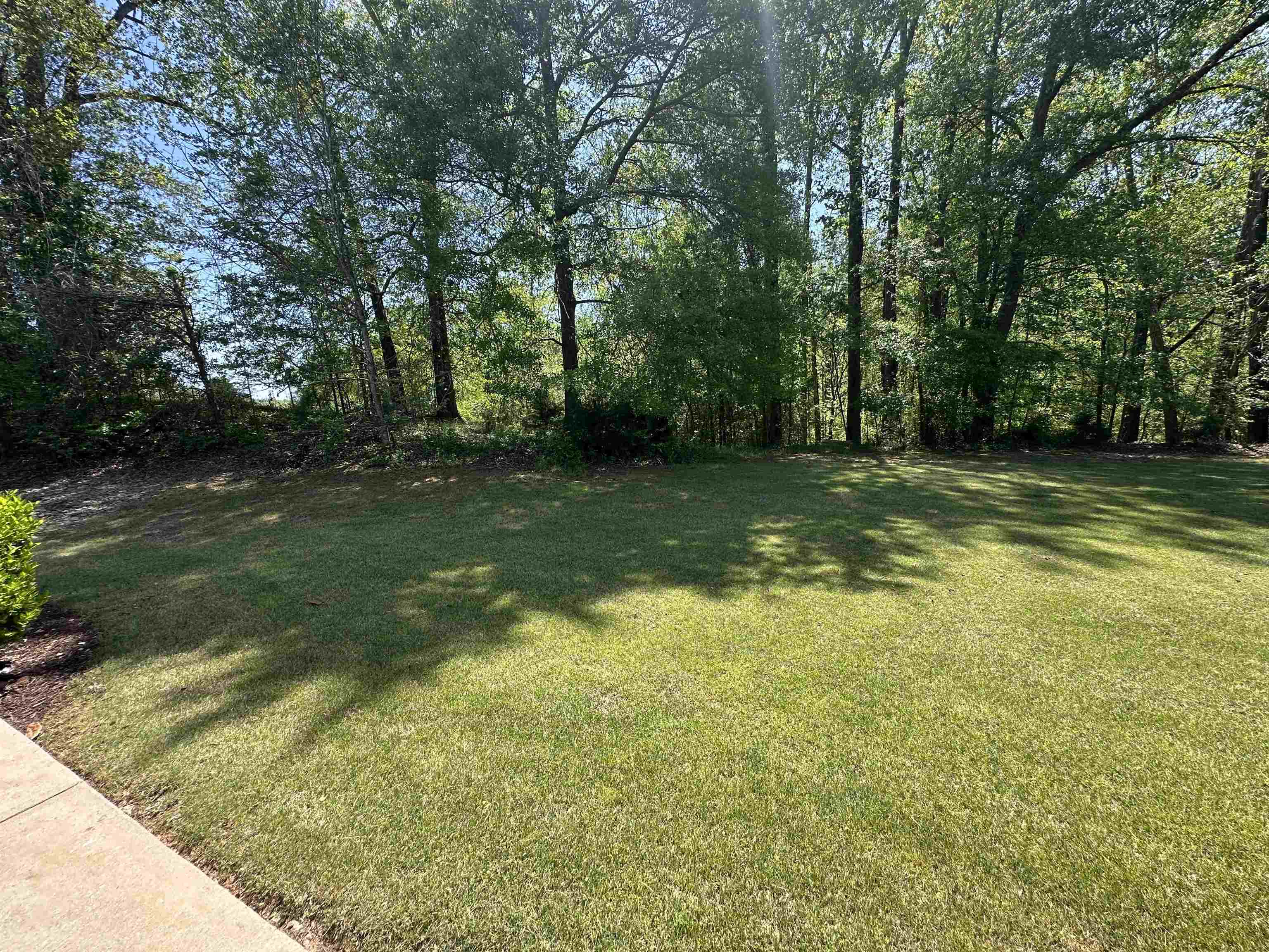 27 Enoree View Drive, Greer, South Carolina image 5