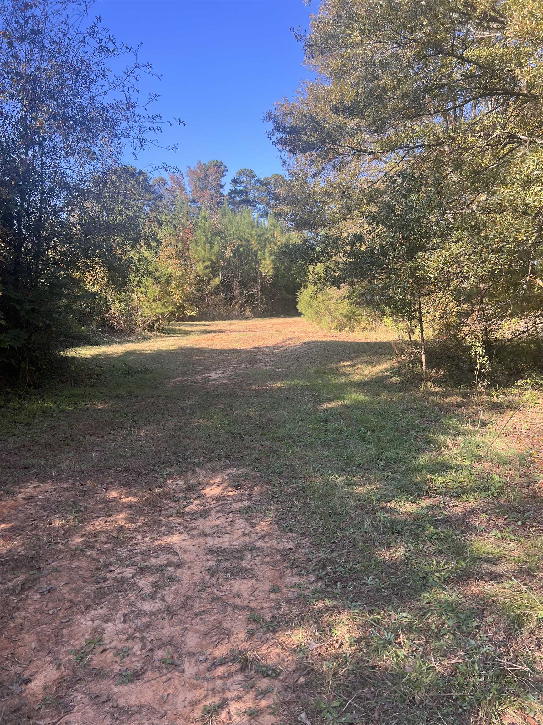 955 Shelby Hghway Hwy, Gaffney, South Carolina image 11
