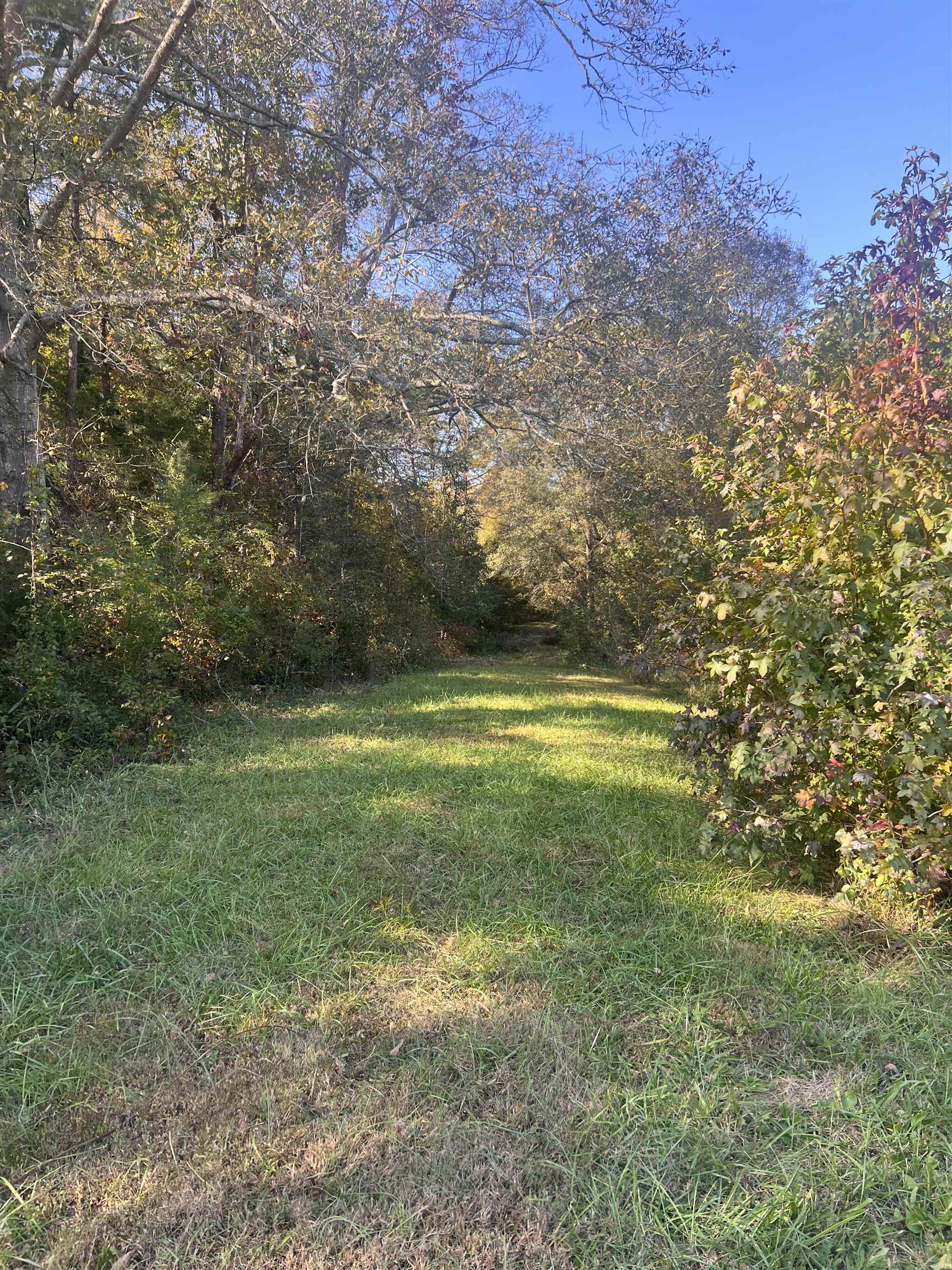 955 Shelby Hghway Hwy, Gaffney, South Carolina image 7