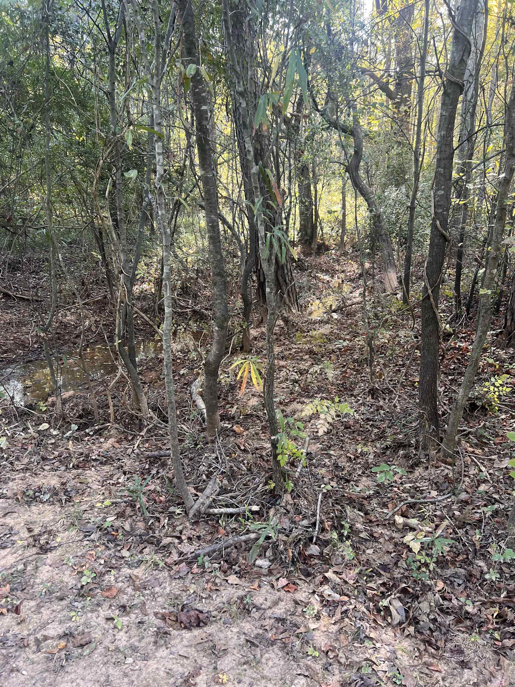 955 Shelby Hghway Hwy, Gaffney, South Carolina image 15