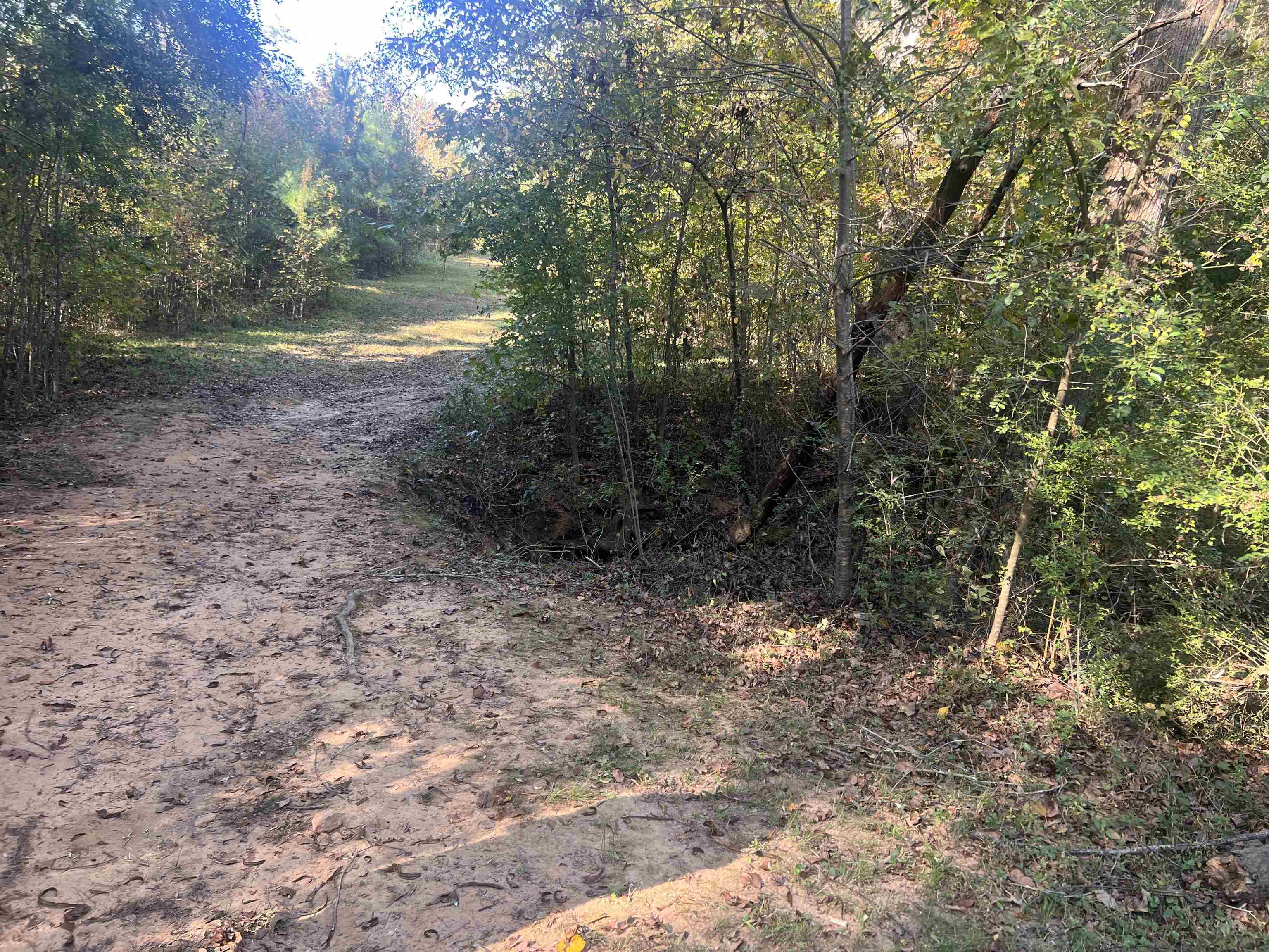 955 Shelby Hghway Hwy, Gaffney, South Carolina image 4