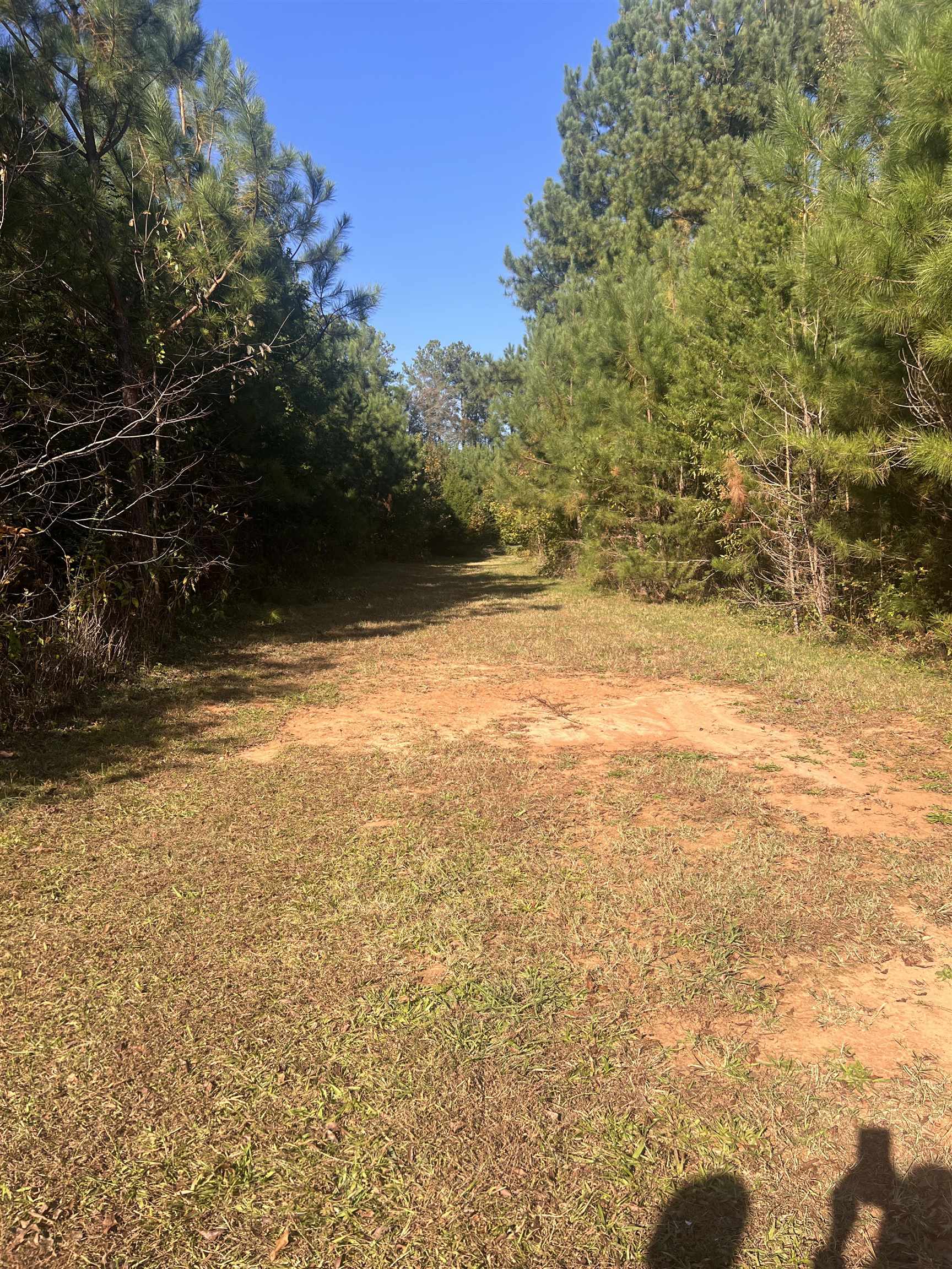 955 Shelby Hghway Hwy, Gaffney, South Carolina image 10