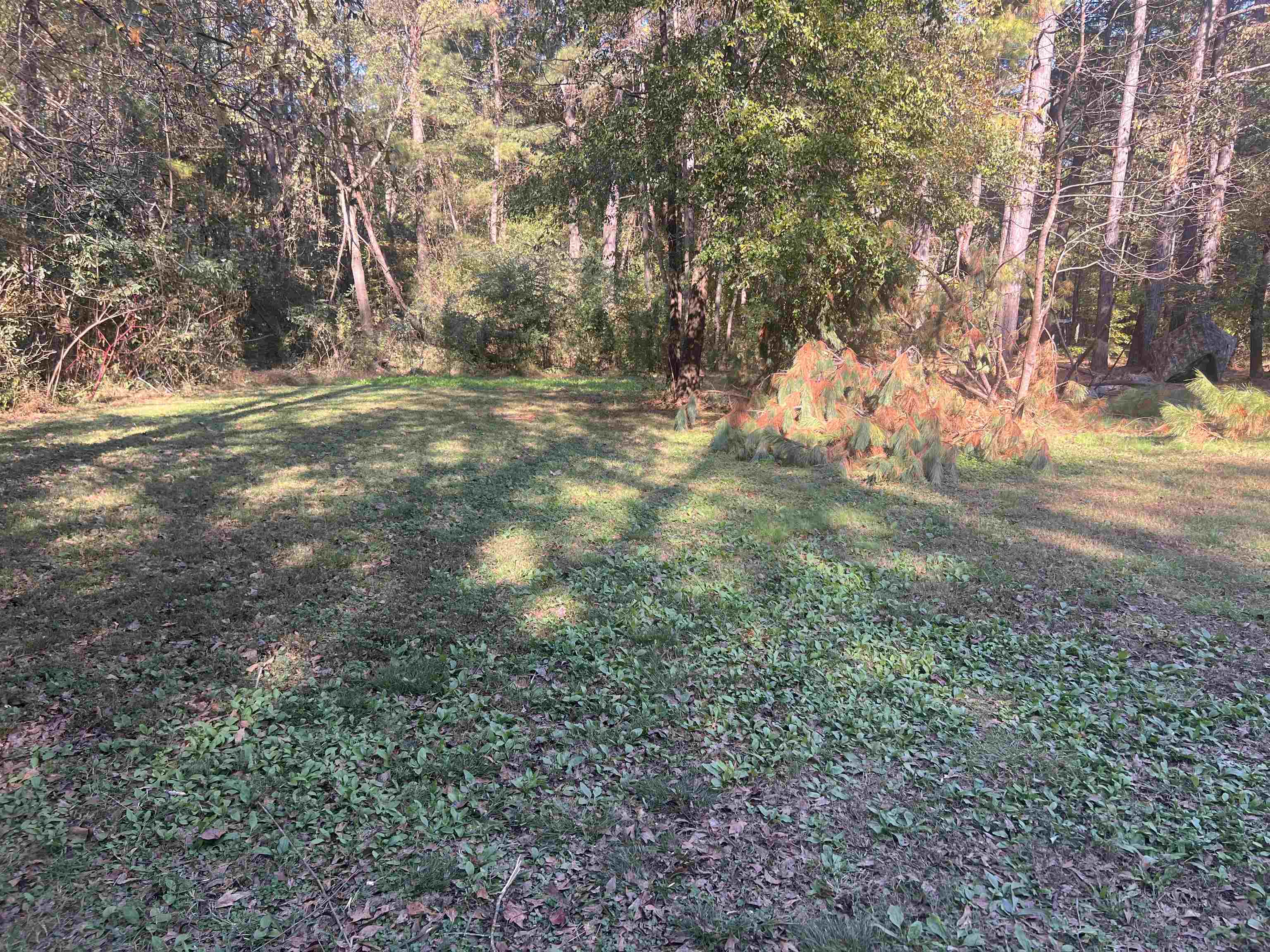 955 Shelby Hghway Hwy, Gaffney, South Carolina image 6