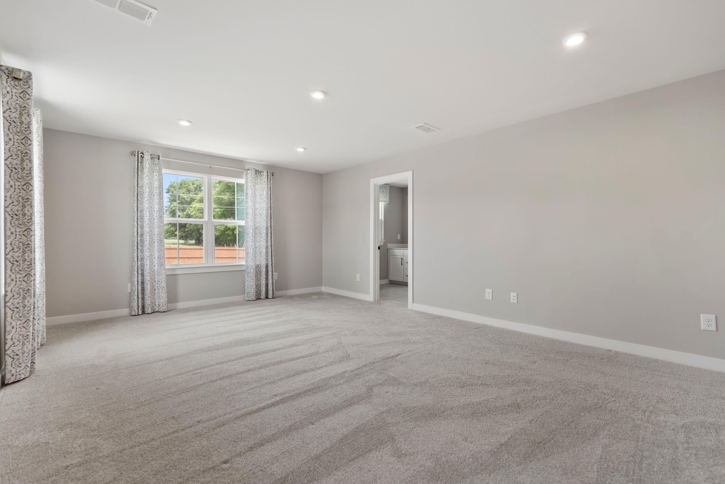1269 Eutaw Springs Drive, Woodruff, South Carolina image 42
