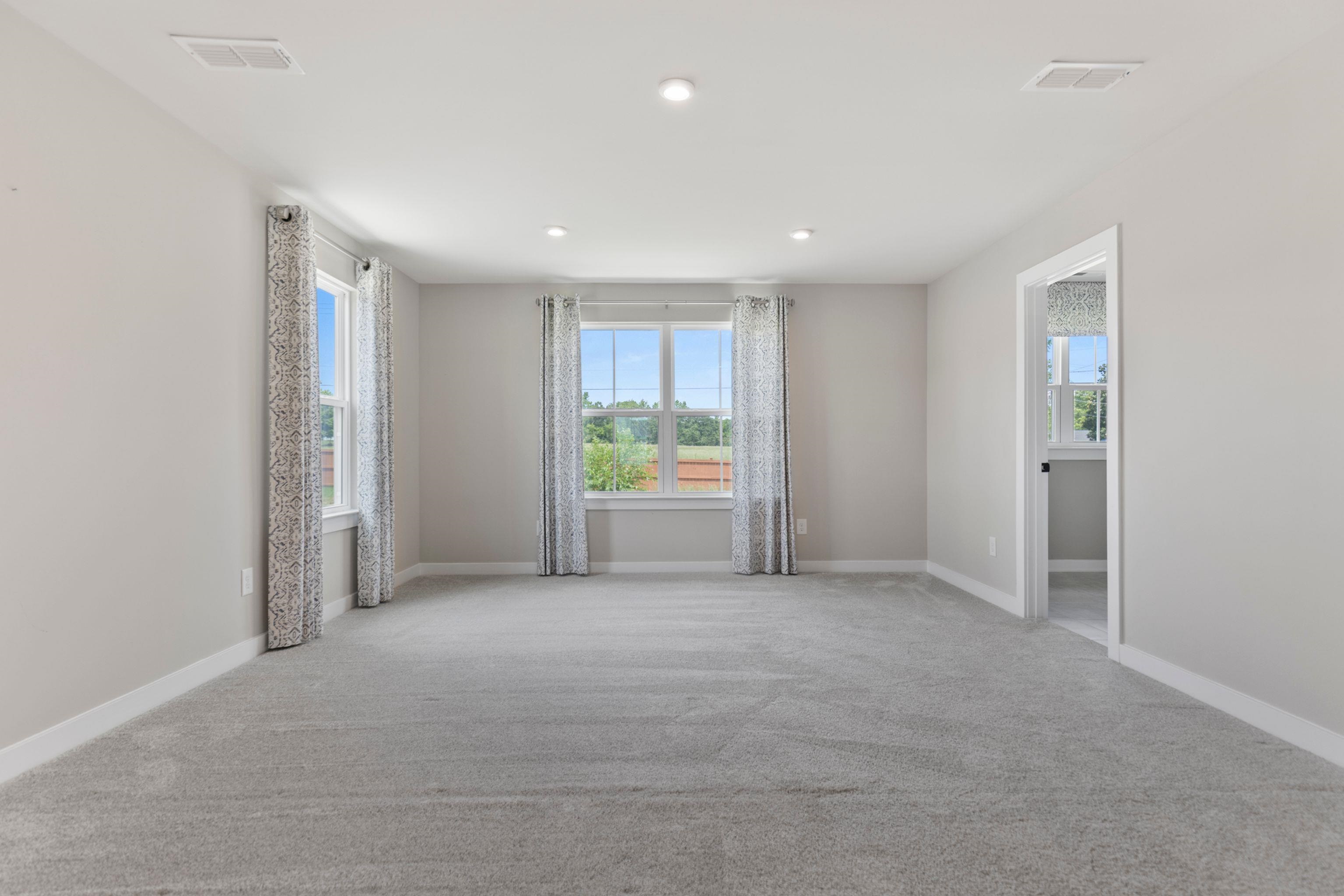 1269 Eutaw Springs Drive, Woodruff, South Carolina image 43