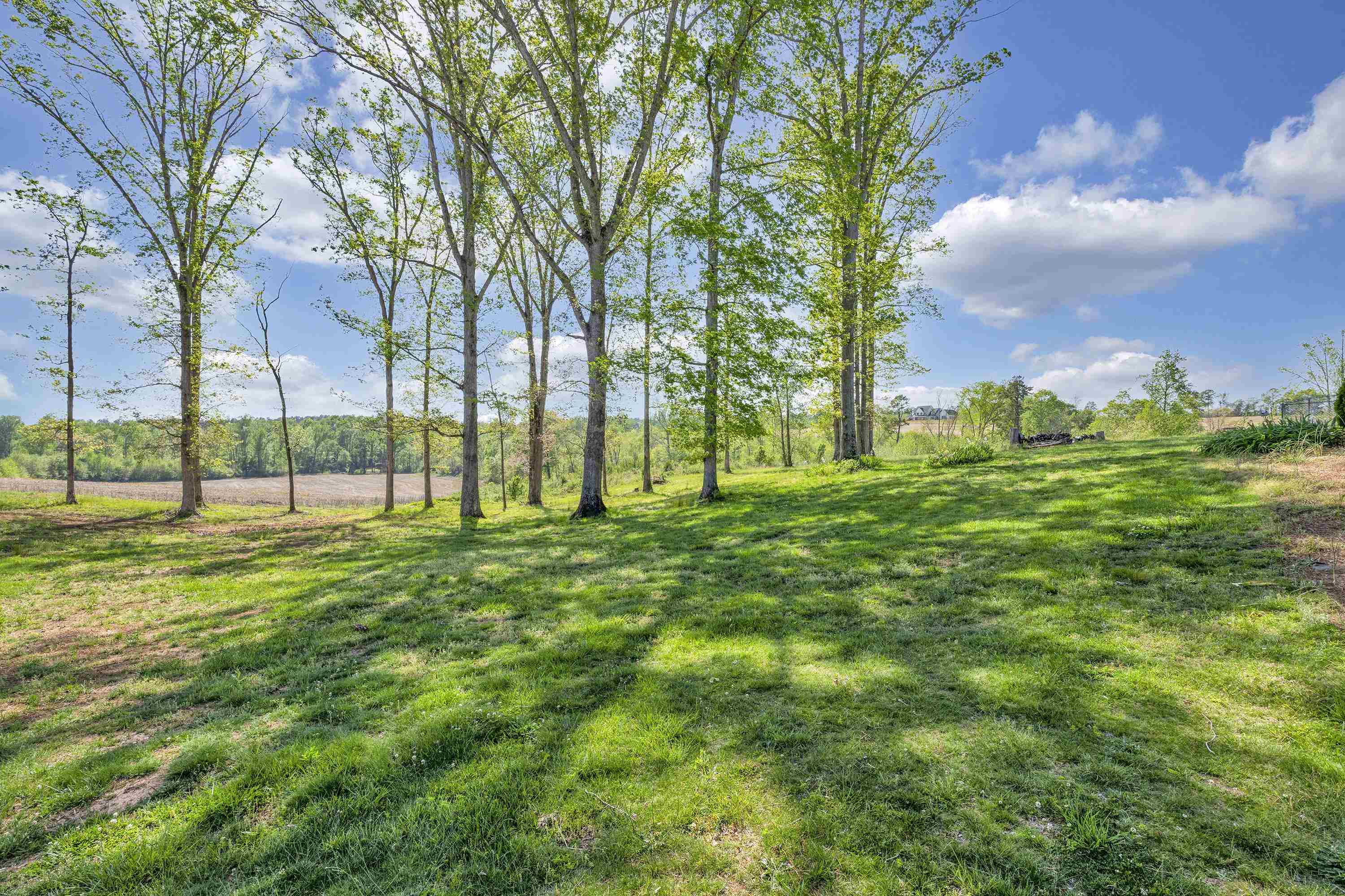 1016 Fish Camp Road, Chesnee, South Carolina image 33