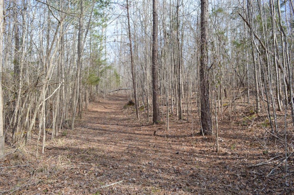 Cowpens Pacolet Rd, Spartanburg, South Carolina image 18