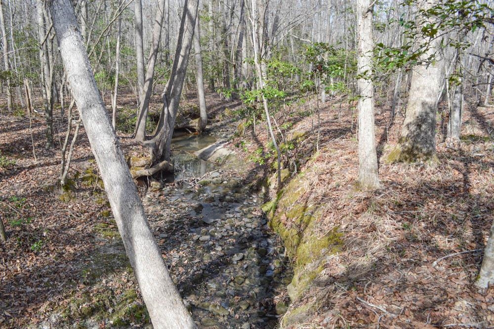 Cowpens Pacolet Rd, Spartanburg, South Carolina image 14