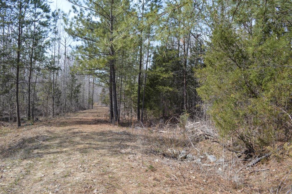 Cowpens Pacolet Rd, Spartanburg, South Carolina image 4