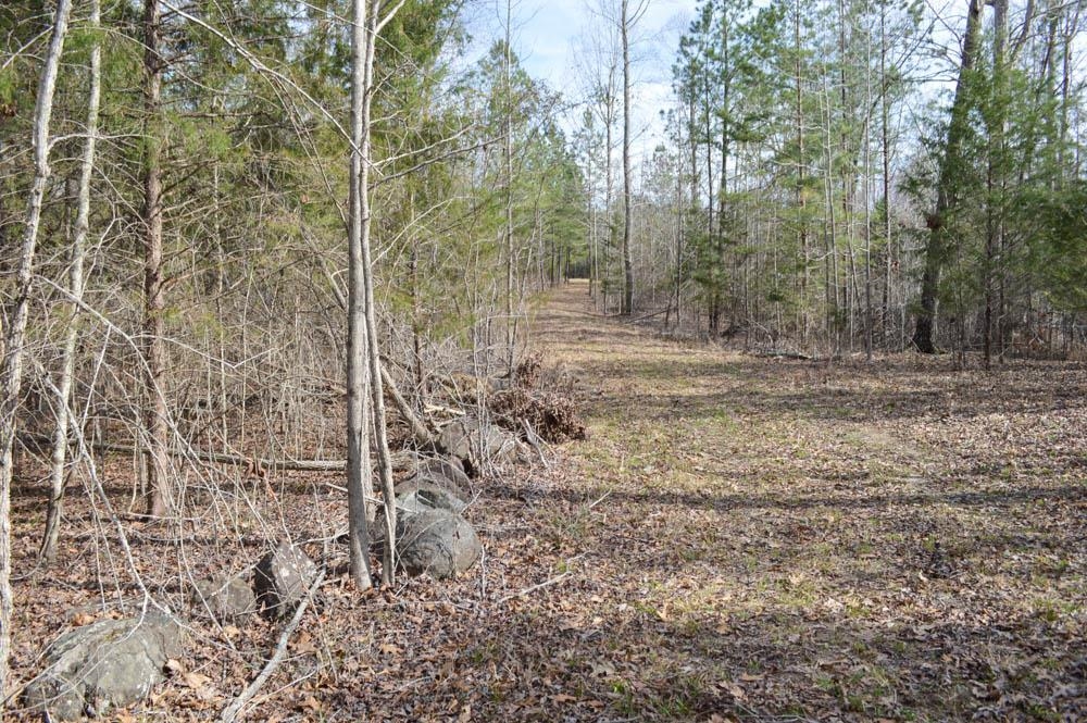 Cowpens Pacolet Rd, Spartanburg, South Carolina image 19