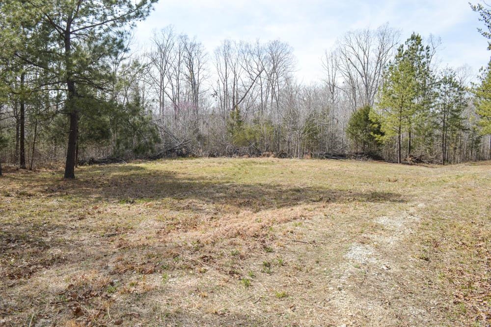 Cowpens Pacolet Rd, Spartanburg, South Carolina image 3