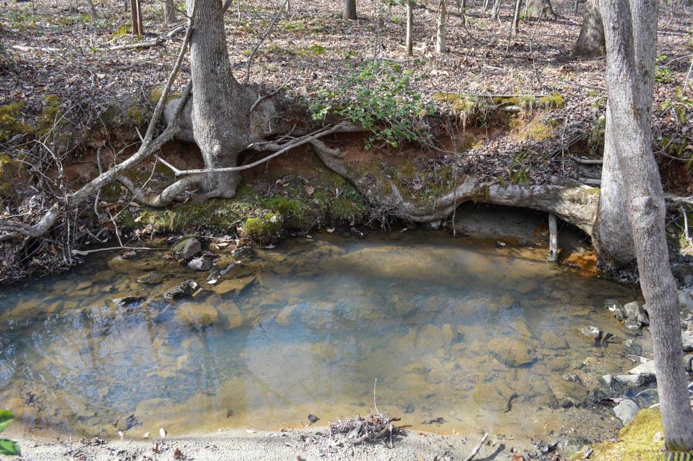 Cowpens Pacolet Rd, Spartanburg, South Carolina image 13