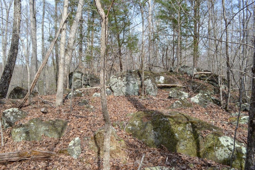 Cowpens Pacolet Rd, Spartanburg, South Carolina image 8