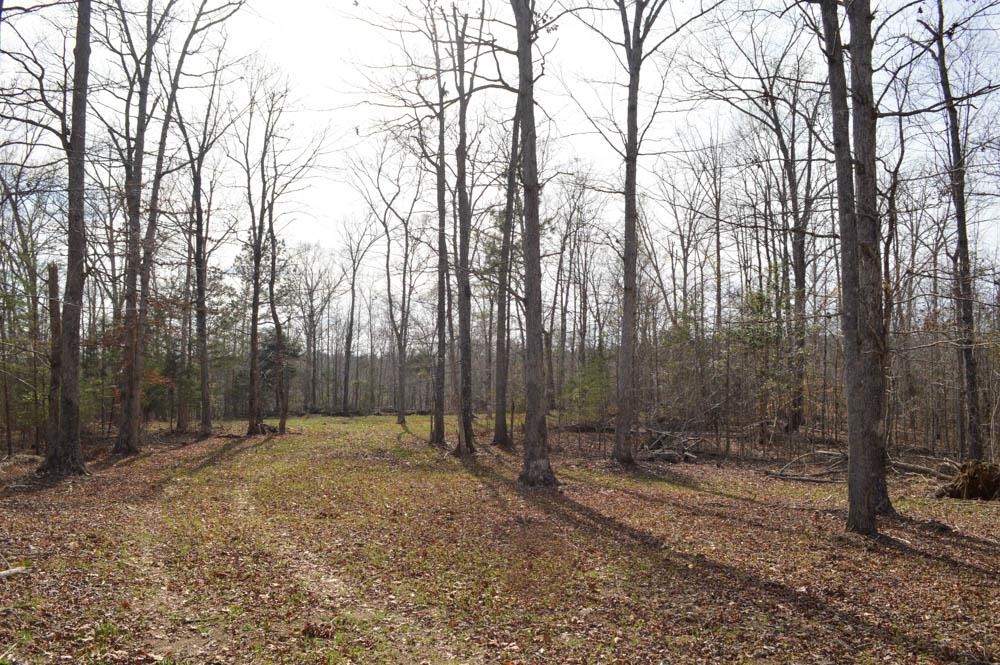 Cowpens Pacolet Rd, Spartanburg, South Carolina image 1
