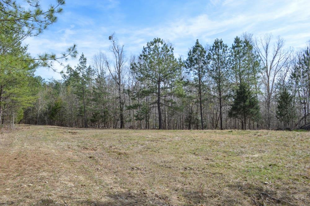 Cowpens Pacolet Rd, Spartanburg, South Carolina image 5