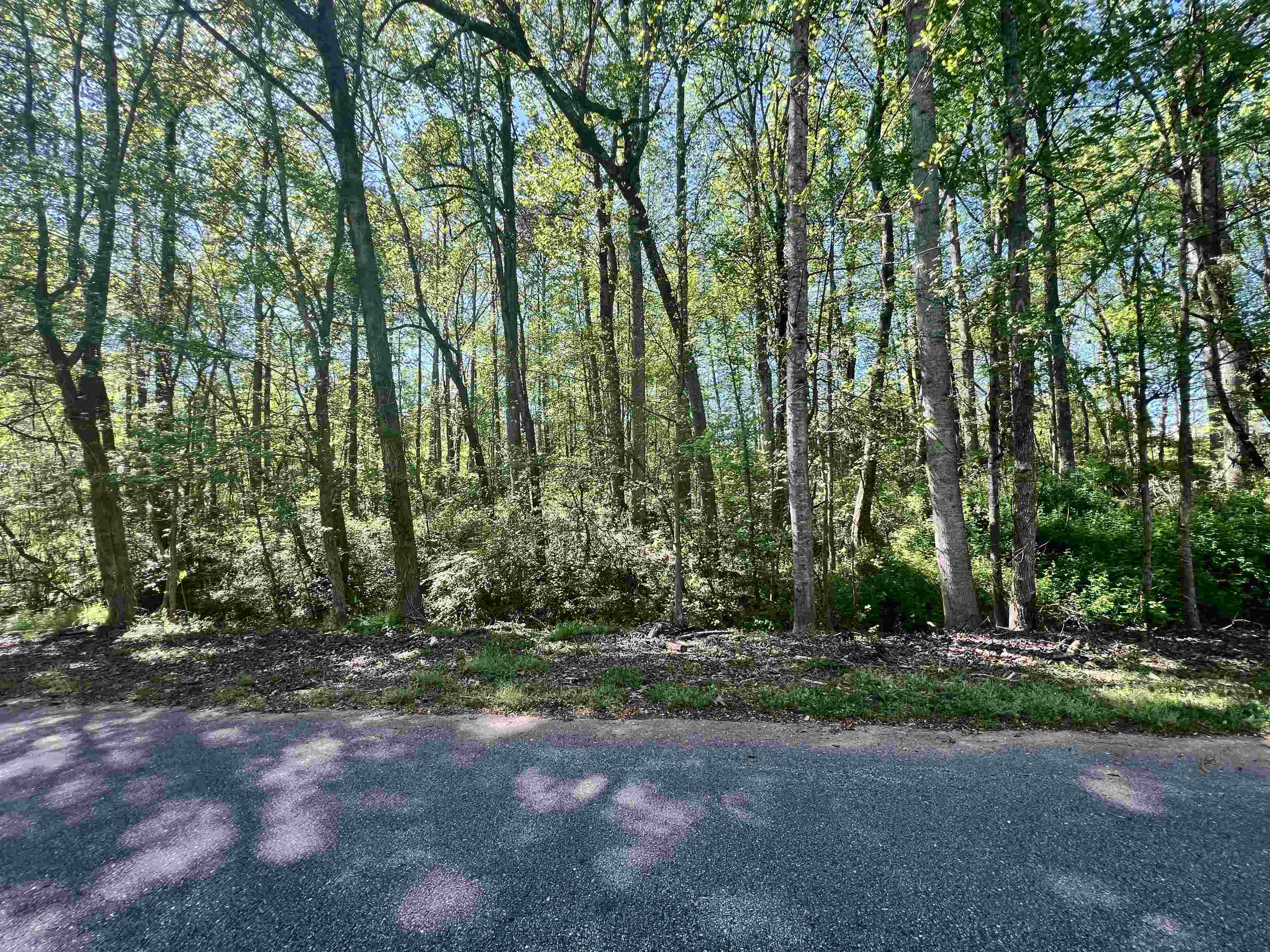 Hampton Boulevard, Gaffney, South Carolina image 3