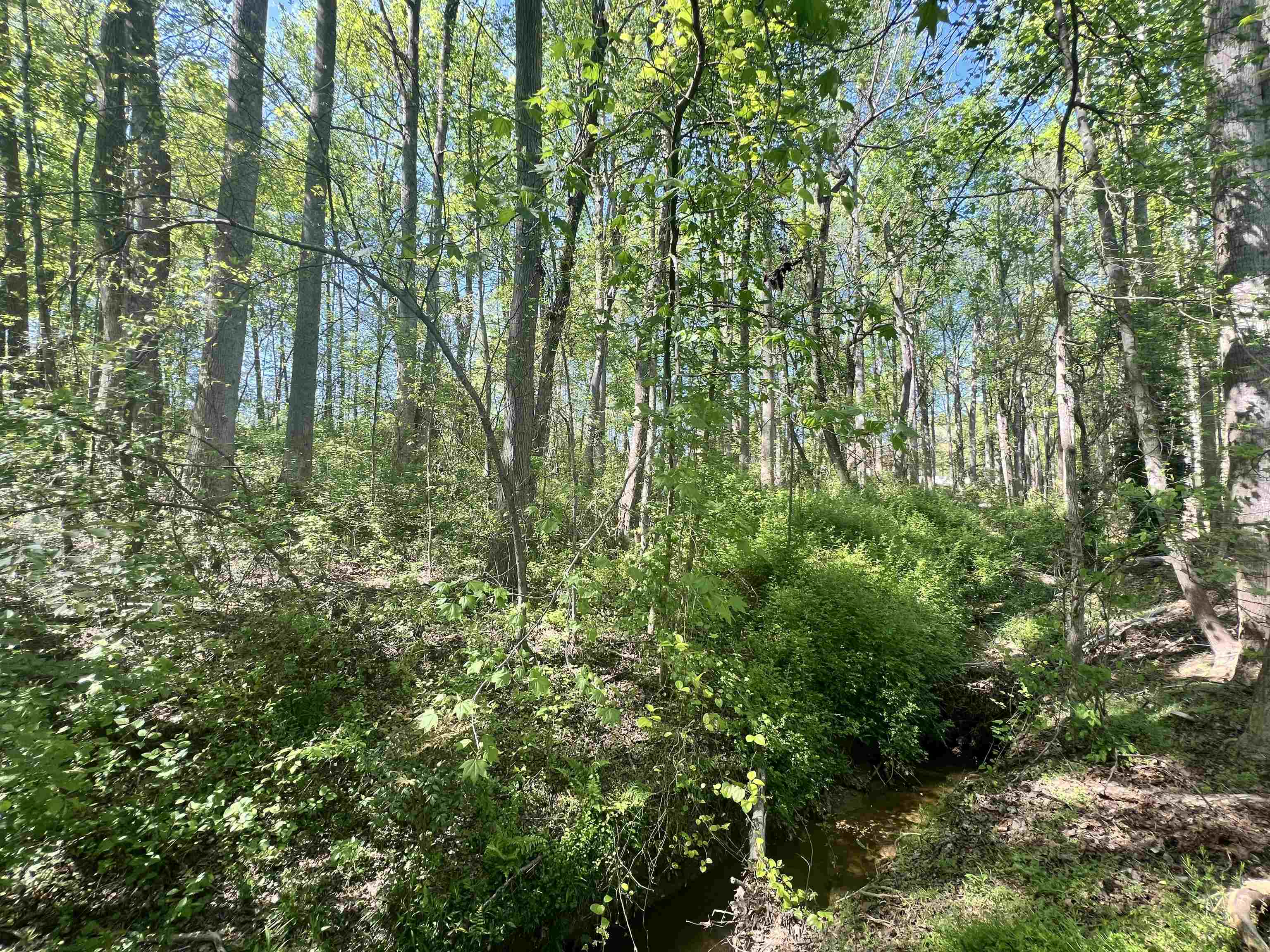 Hampton Boulevard, Gaffney, South Carolina image 5