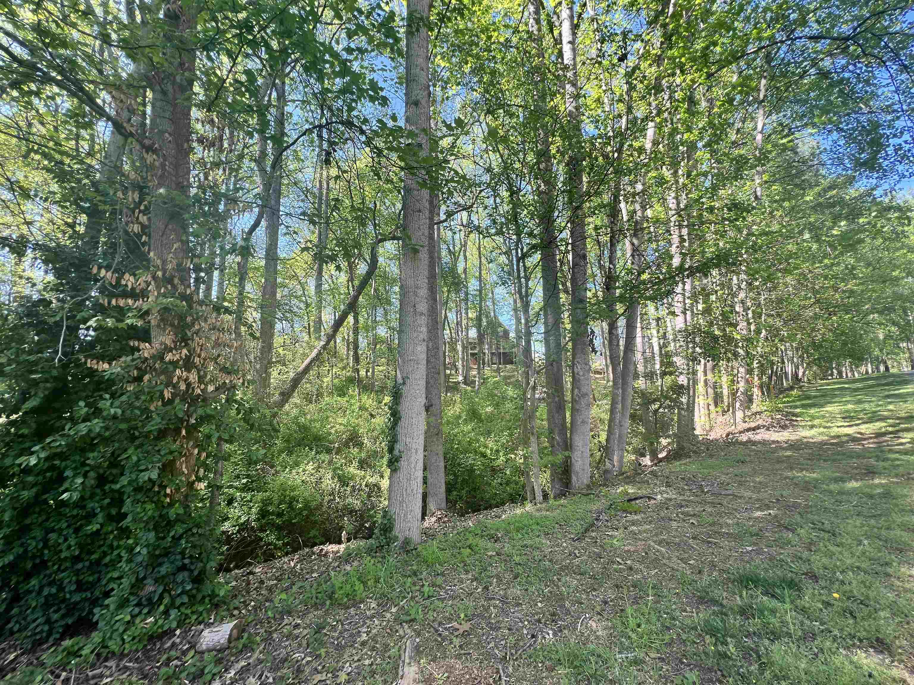 Hampton Boulevard, Gaffney, South Carolina image 11